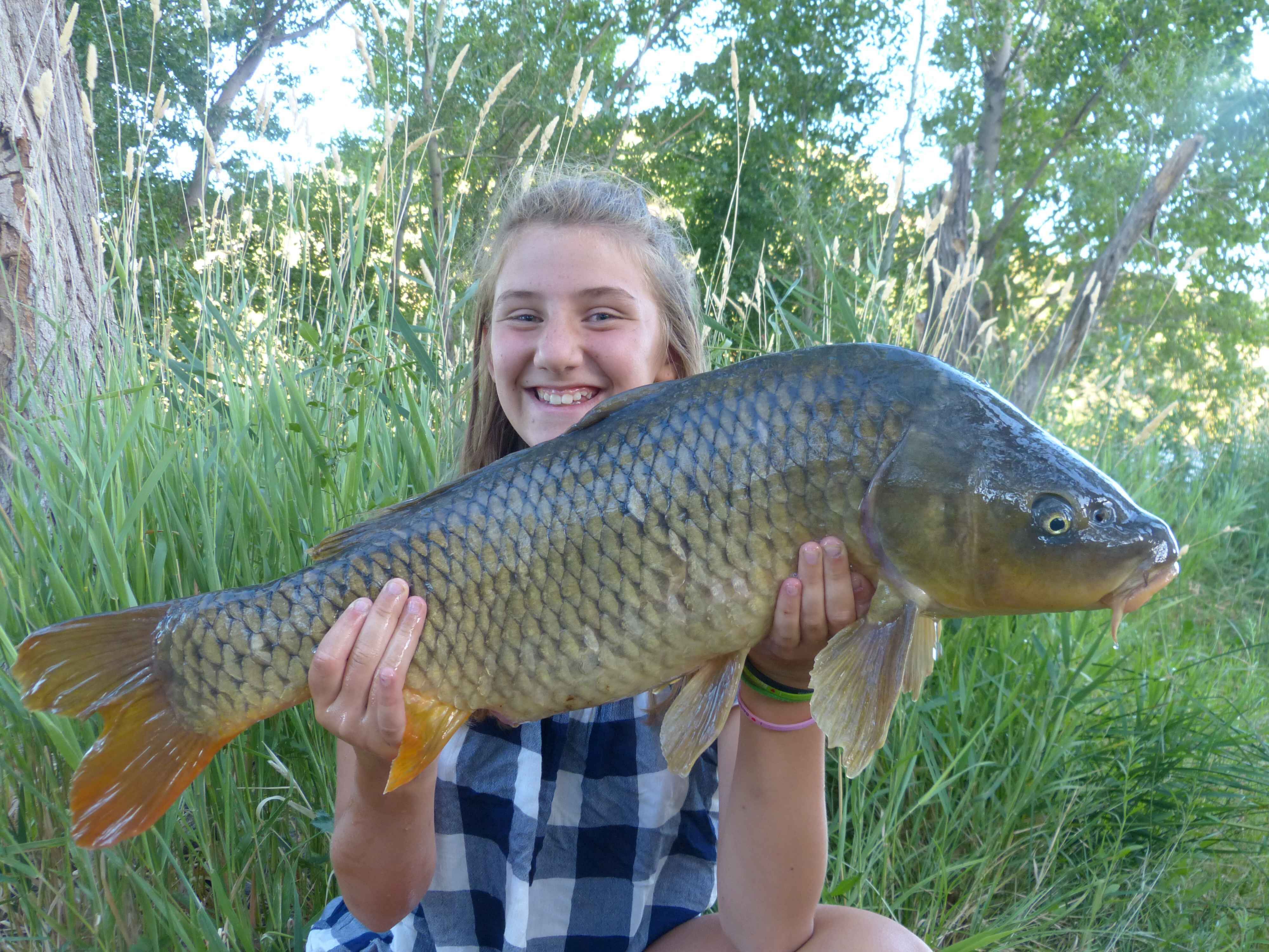 karpfenangeln_frankreich_180 Ein junger Angler hält stolz einen großen Karpfen, der während eines Angelausflugs gefangen wurde.