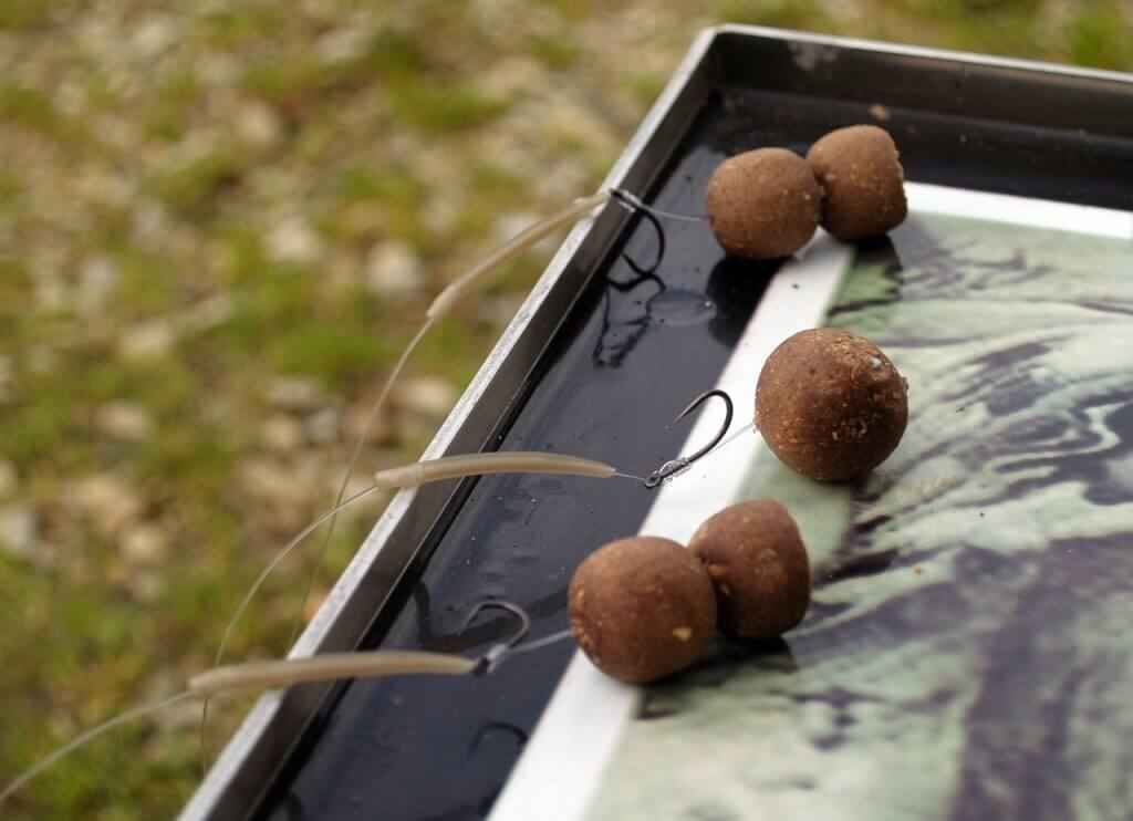 karpfenangeln_mit_angelzelt