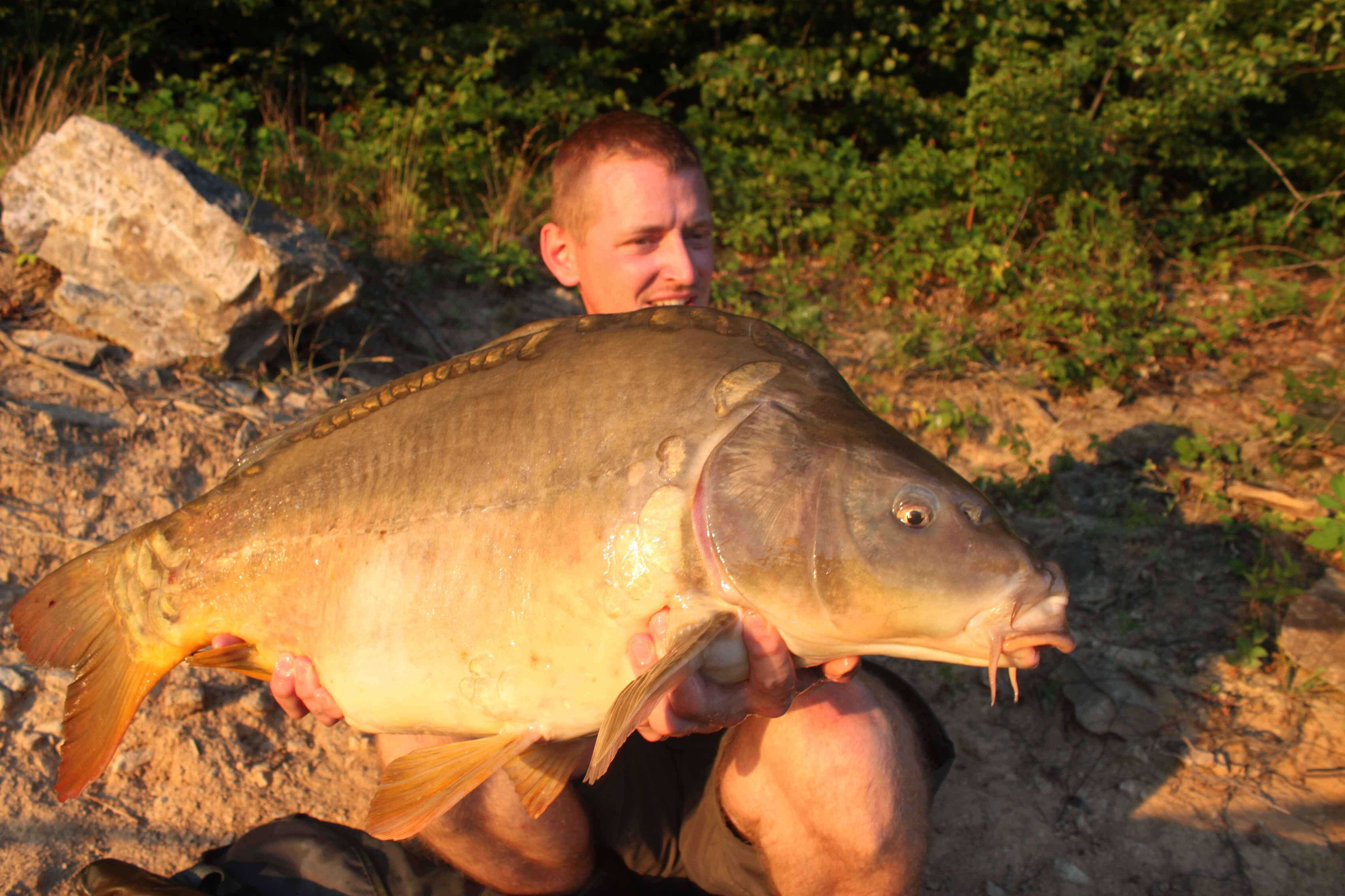 Bivvy Session - Karpfenangeln in Südfrankreich Angler hält stolz einen großen Karpfen in der Hand, der während eines Angelausflugs in der Natur gefangen wurde.
