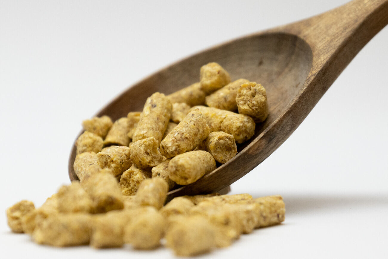 Ein Holzlöffel gefüllt mit hellbraunen Karpfenpellets vor weißem Hintergrund.