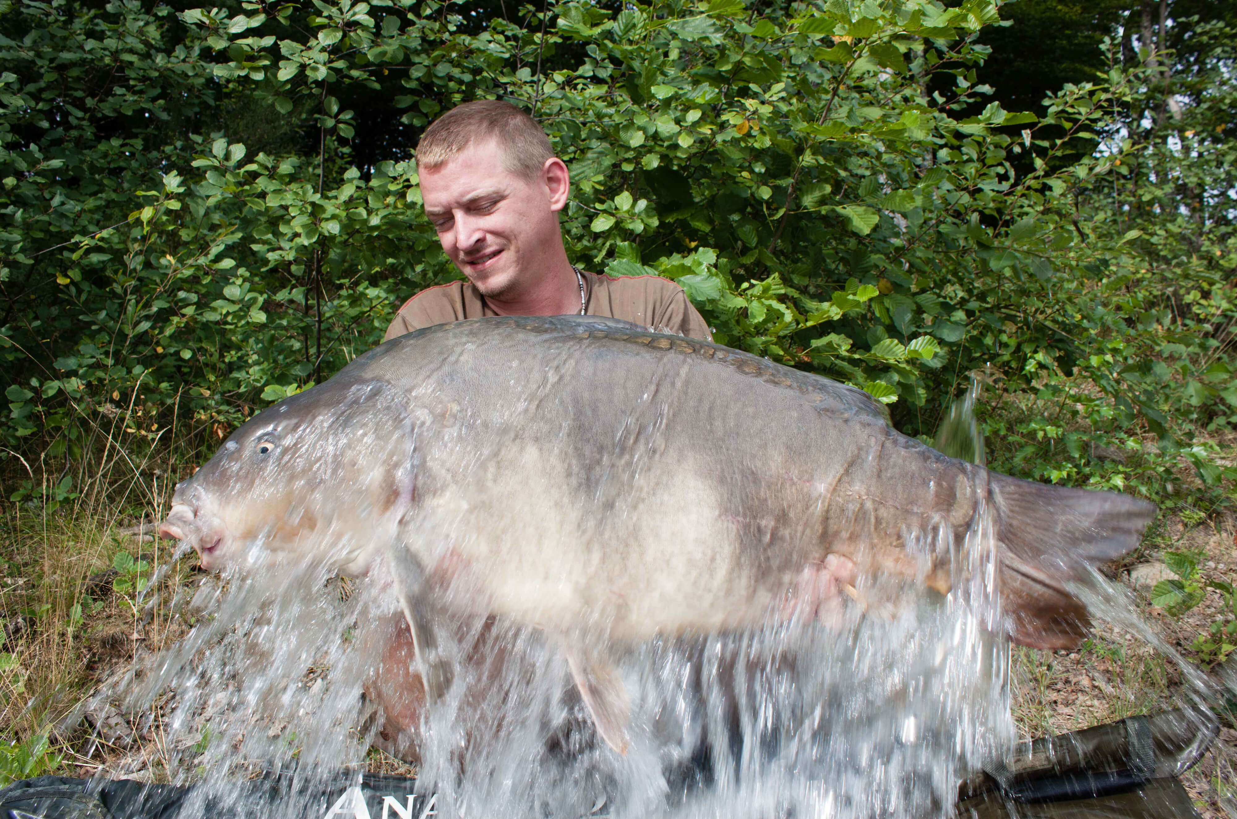 021f Fisch, Karpfen, Angler, Wasserflies, Fischfangausrüstung