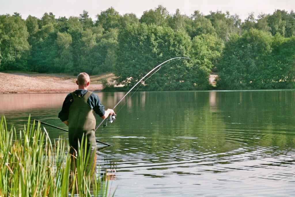 Image027_32 Angler in Wathosen wirft eine Angel aus und konzentriert sich darauf, Karpfen in einem ruhigen See zu fangen.