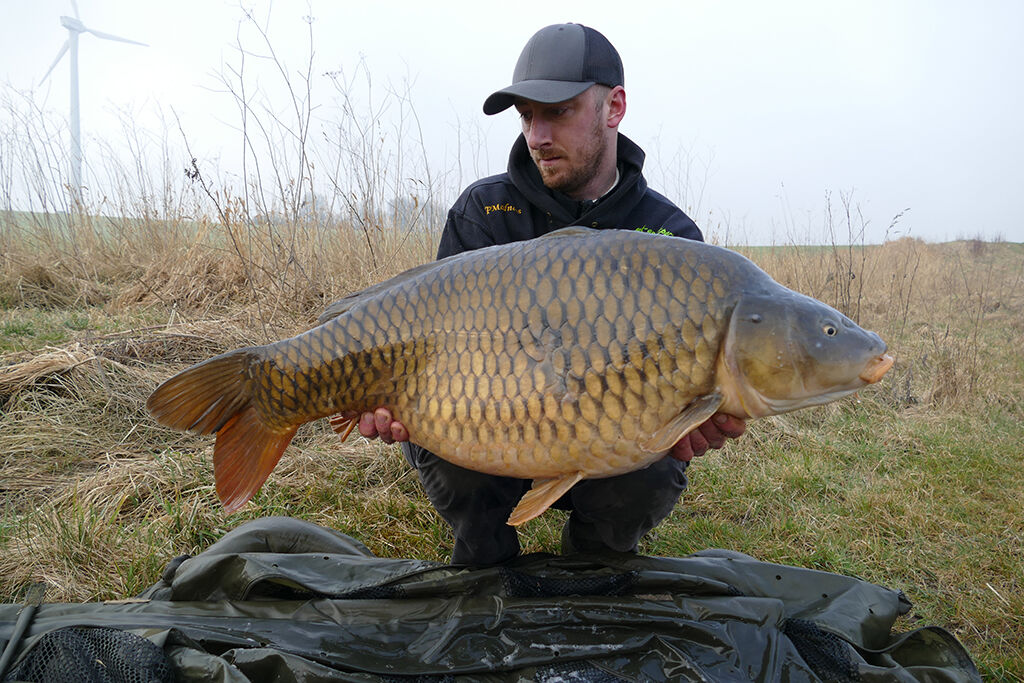 schupopenkarpfen-auf-boiles Angler hält stolz einen großen Karpfen in der Hand, der mit hochwertigem Angelgerät gefangen wurde.