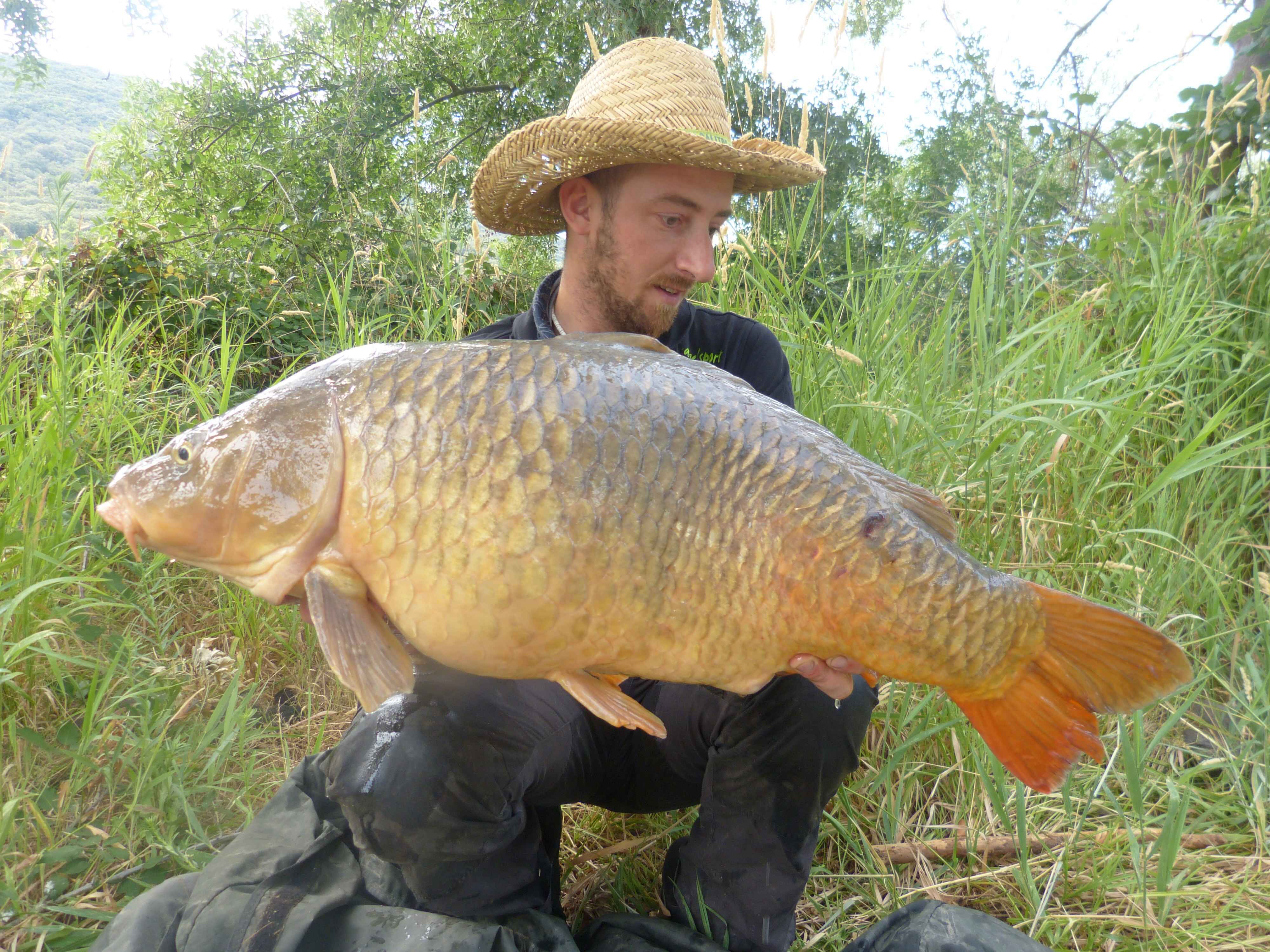 karpfenangeln_frankreich_254