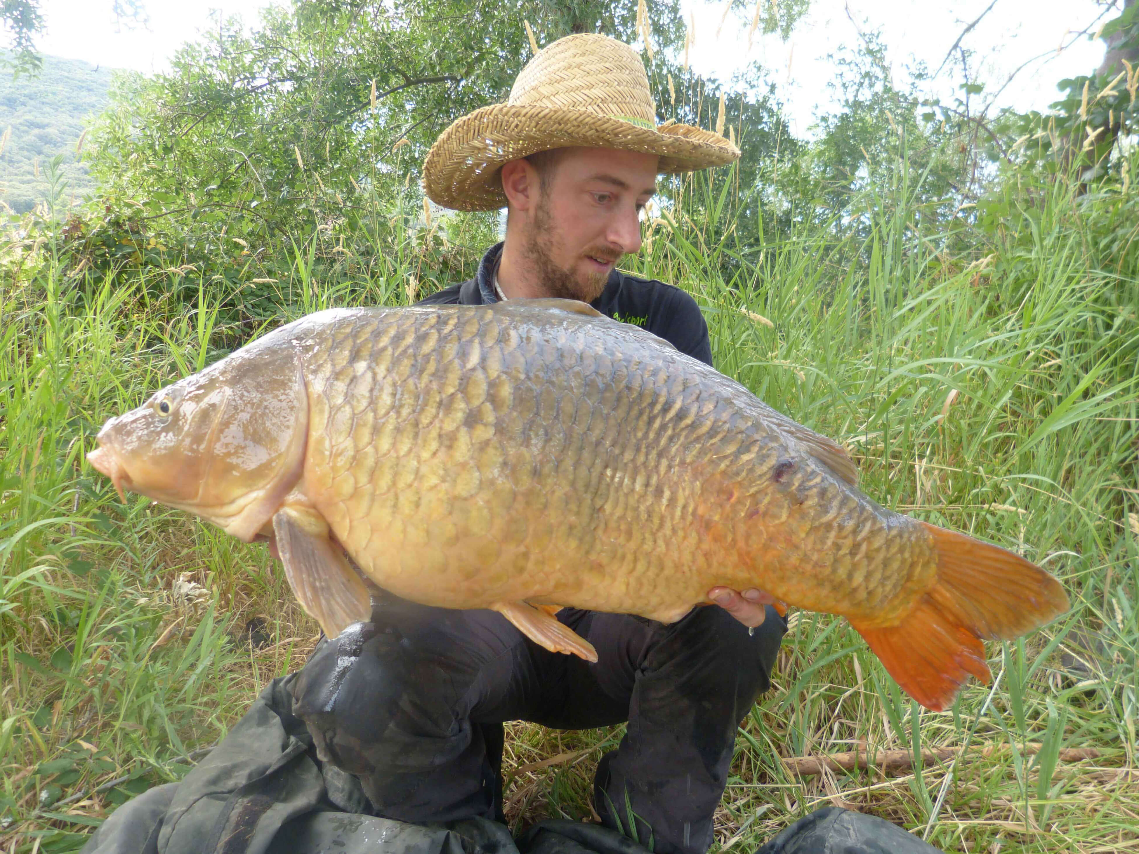 karpfenangeln_frankreich_254 Angler hält stolz einen großen Karpfen und präsentiert erfolgreiche Angeltechniken und Ausrüstung.