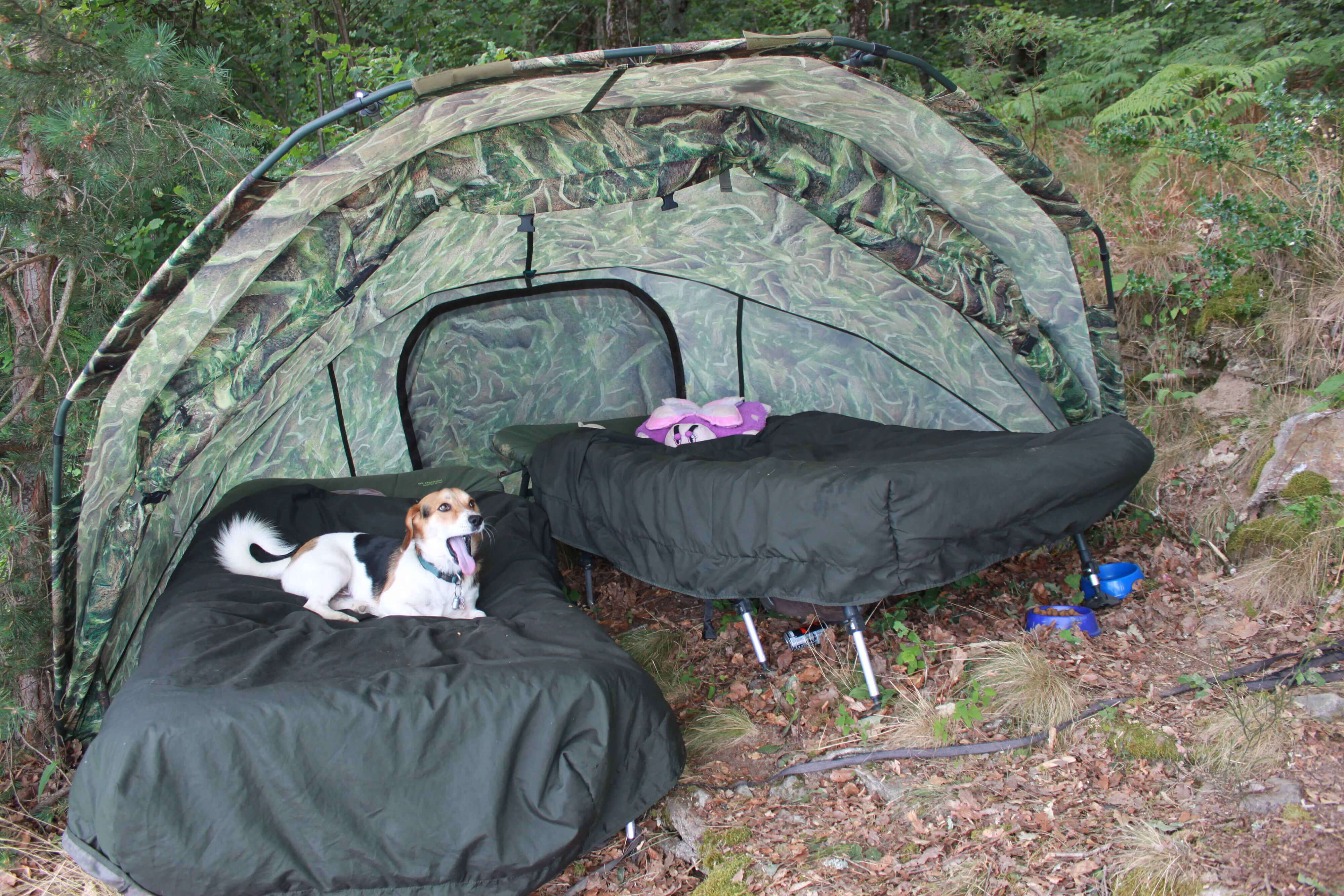 026 zelt, camper, camping, hunde, betttopf?, dog