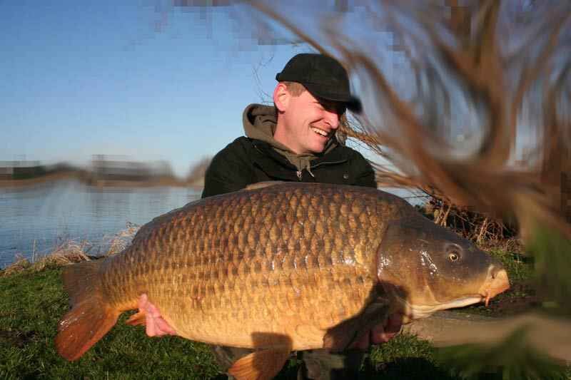 Bivvy Session: 20kg Flusskarpfen im Winter Ein glücklicher Angler hält stolz einen großen Karpfen, der während eines Angelausflugs gefangen wurde.