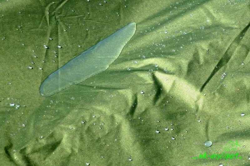 PRO-ZONE-DLX-Bedchair-Cover-_b9-png Schlafsack