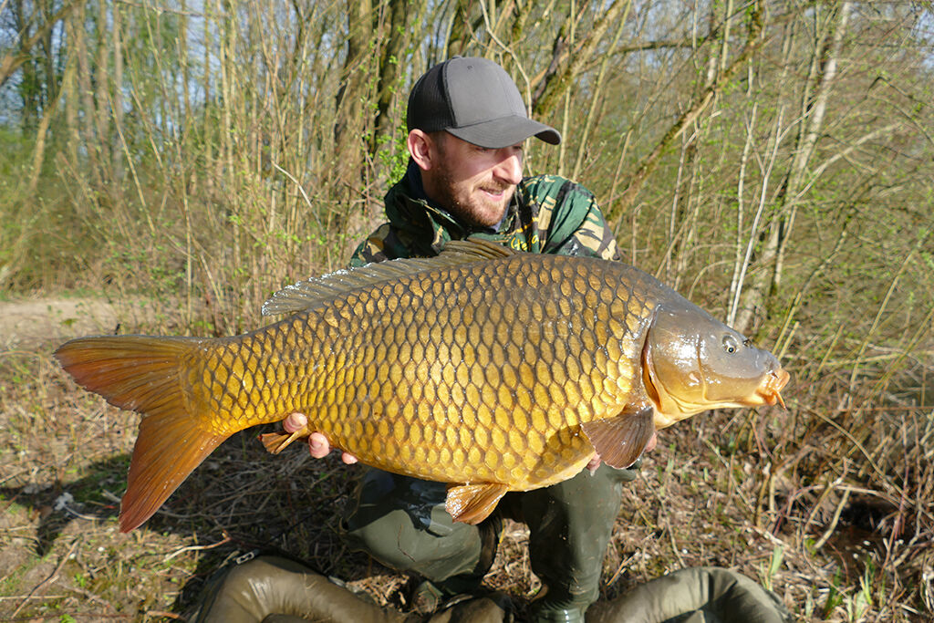 schuppenkarpfen Angler hält stolz einen großen Karpfen und präsentiert erfolgreiche Angeltechniken und Angelgeräte.
