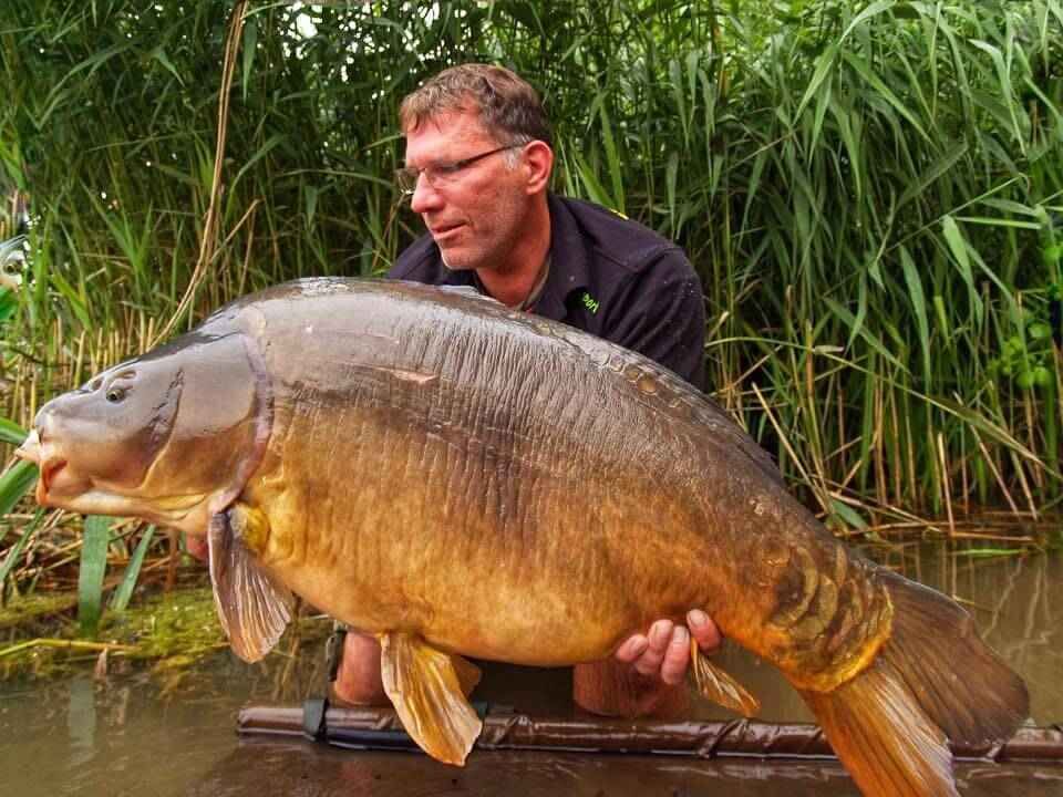 karpfenamgeln_mit_bivvy1 Angler hält stolz einen großen Karpfen in der Hand, der mit hochwertigen Angelgeräten und -ausrüstung gefangen wurde.