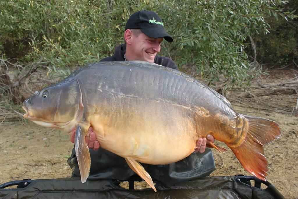 Angeln in Frankreich - Reloaded Ein stolzer Angler hält einen großen Karpfen und zeigt damit den Nervenkitzel des erfolgreichen Karpfenangelns.