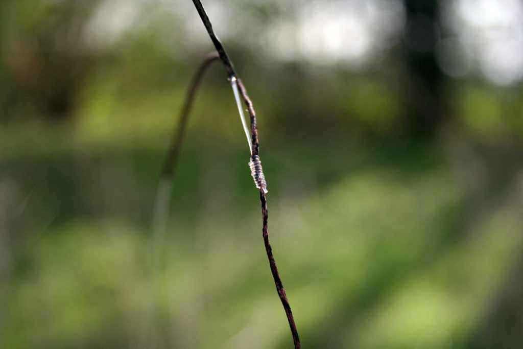 angelknoten_selbermachen