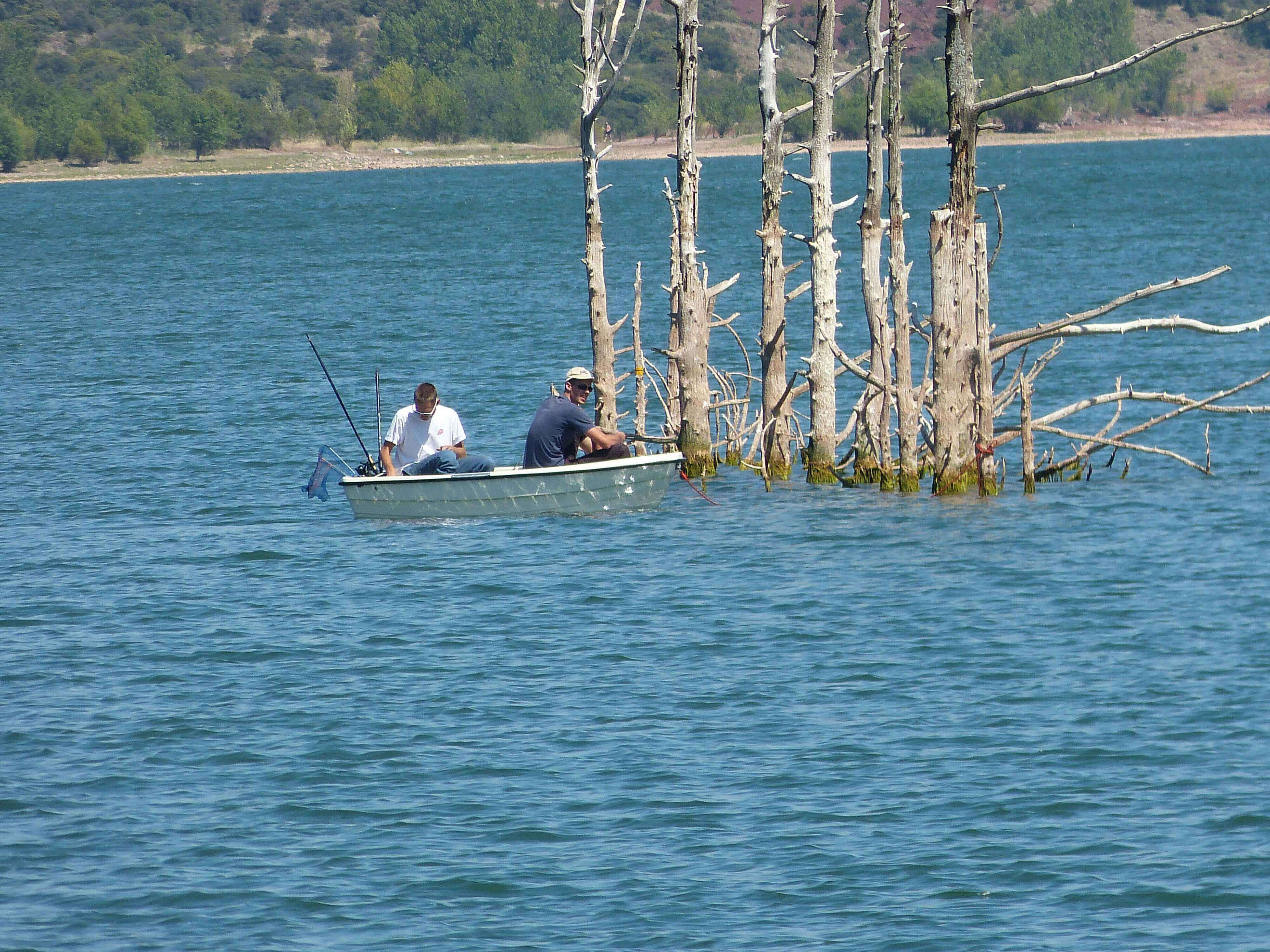 Frankreichtour-mit-Jan-252 boot, boat, fishing, water, trees