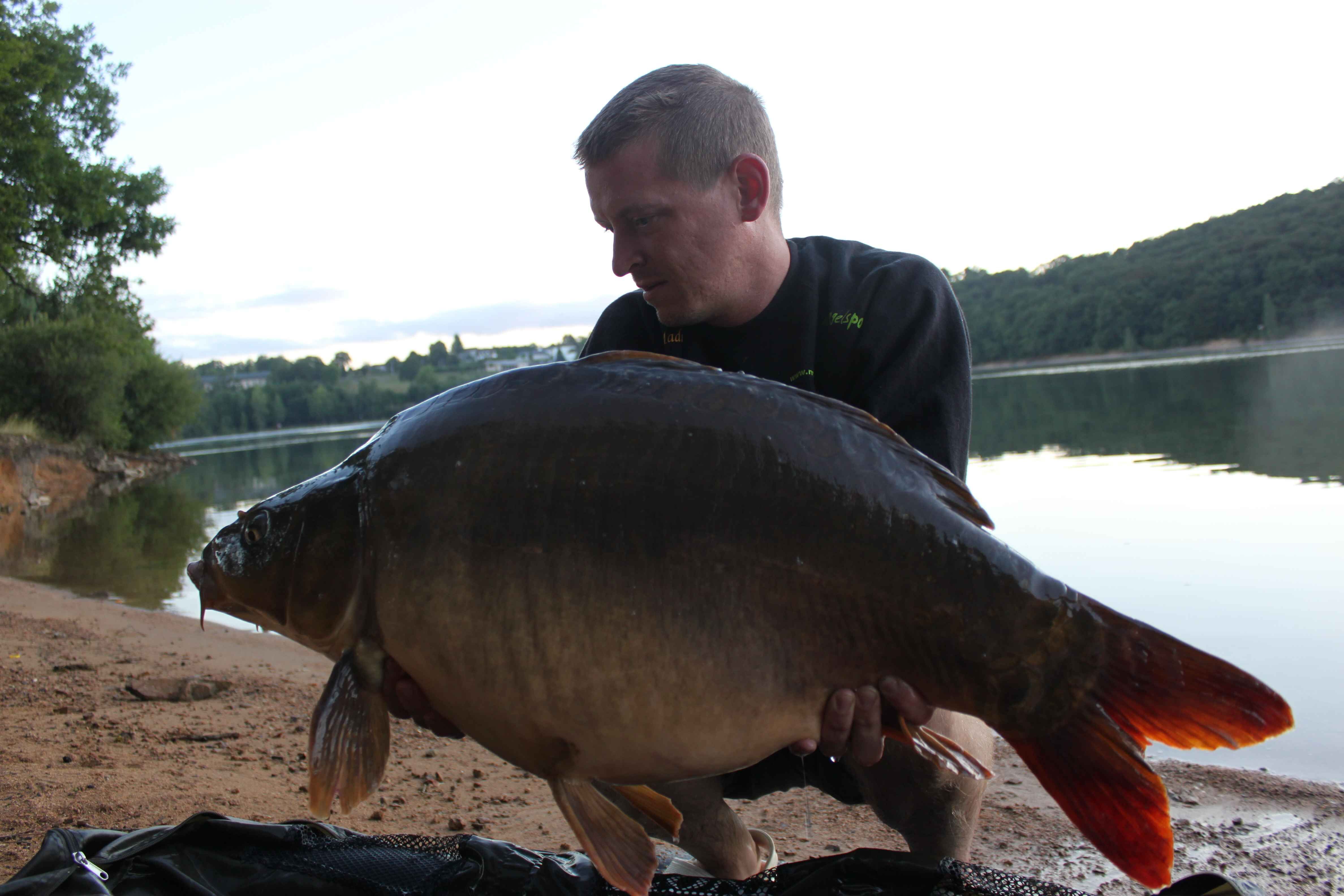 023 Angler hält stolz einen großen Karpfen am Wasser und präsentiert erfolgreiche Angelausrüstung.