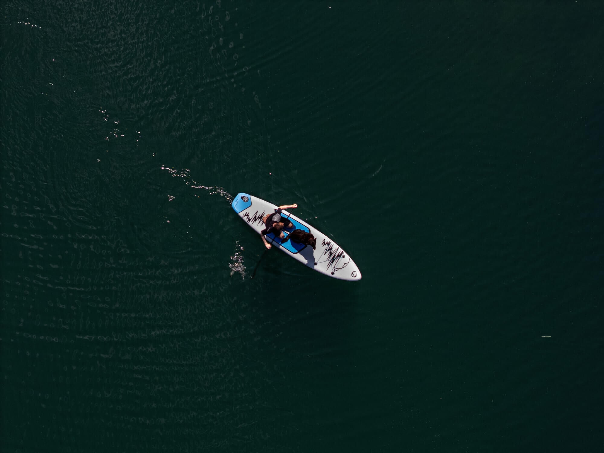Spinera Light 11'8