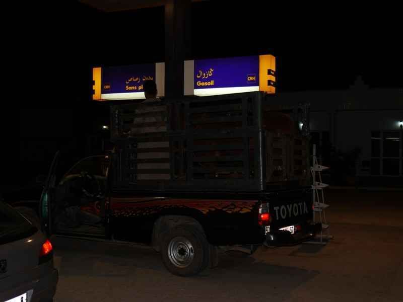 Viehtransport-2 Ein Pickup an einer Tankstelle, bereit für eine Nacht voller Abenteuer beim Karpfenangeln.