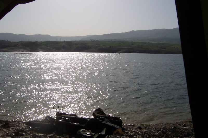 Haifischbar-Ausblick Malerische Aussicht auf einen ruhigen See, ideal zum Karpfenangeln, mit einsatzbereiter Ausrüstung.
