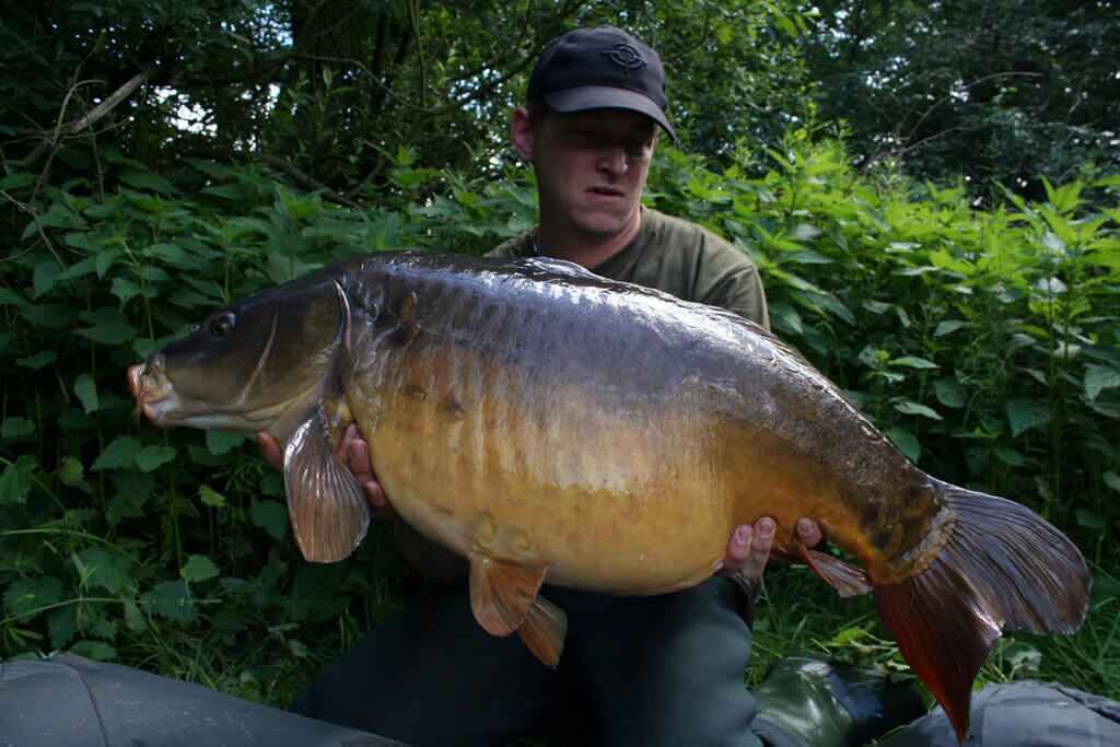 IMG_0838 Angler hält stolz einen großen Karpfen und präsentiert erfolgreiche Angeltechniken und Ausrüstung.