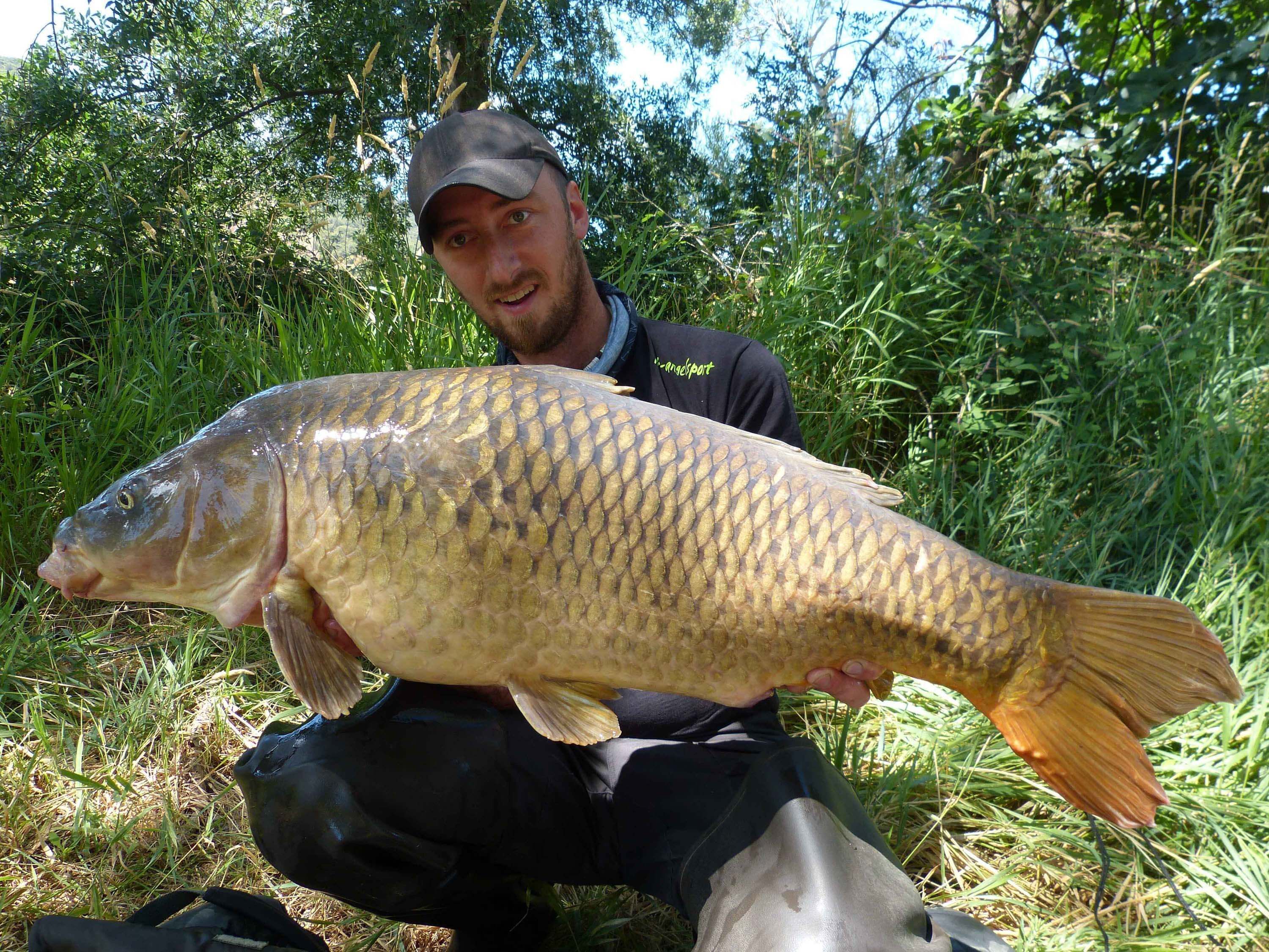 Karpfenangeln an der Rhone Angler hält stolz einen großen Karpfen und präsentiert erfolgreiche Angeltechniken und Ausrüstung.