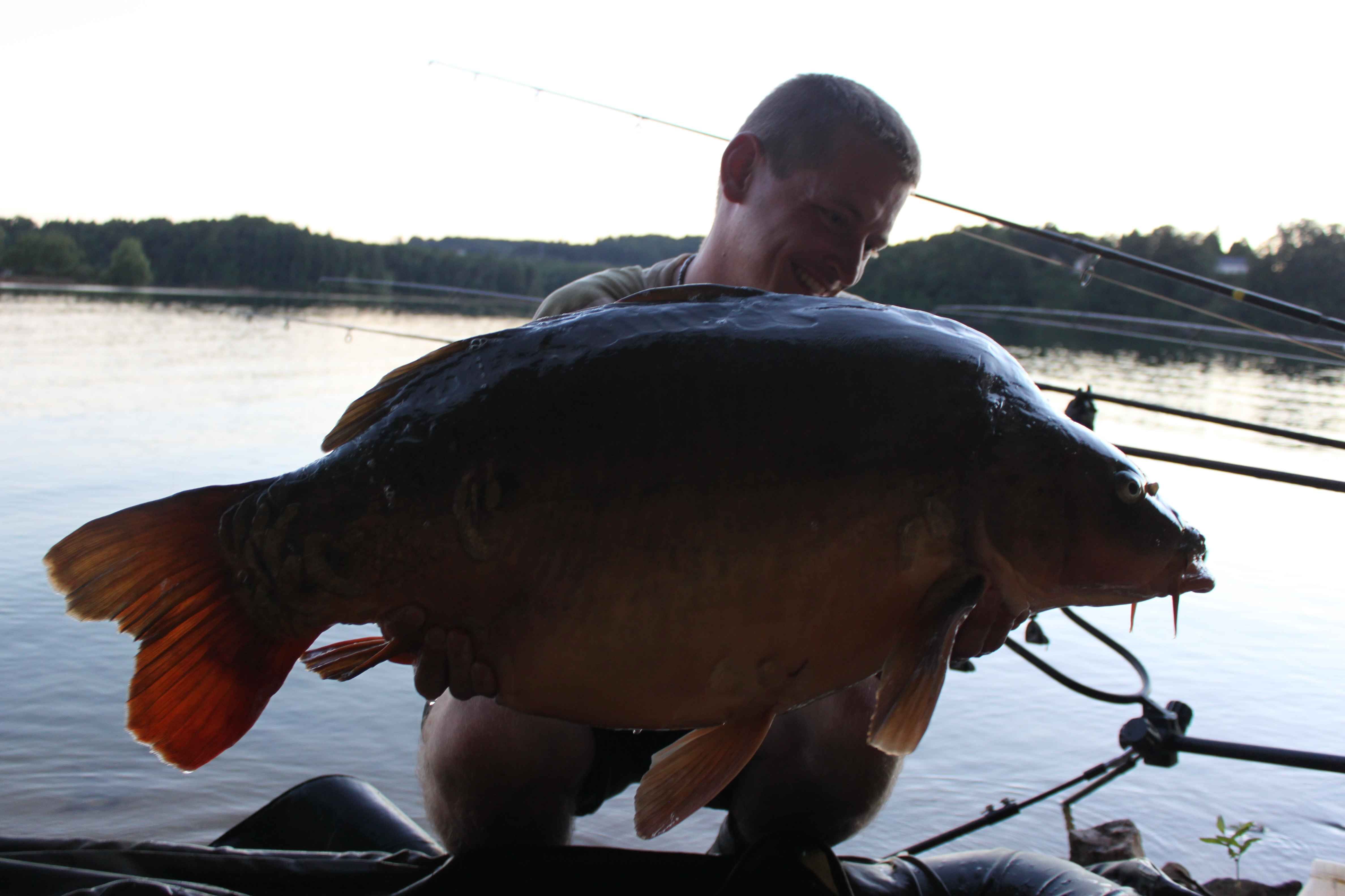 035d Angler hält stolz einen großen Karpfen in der Hand, der bei Sonnenuntergang gefangen wurde, und stellt seine Angelfähigkeiten und sein Angelgerät zur Schau.