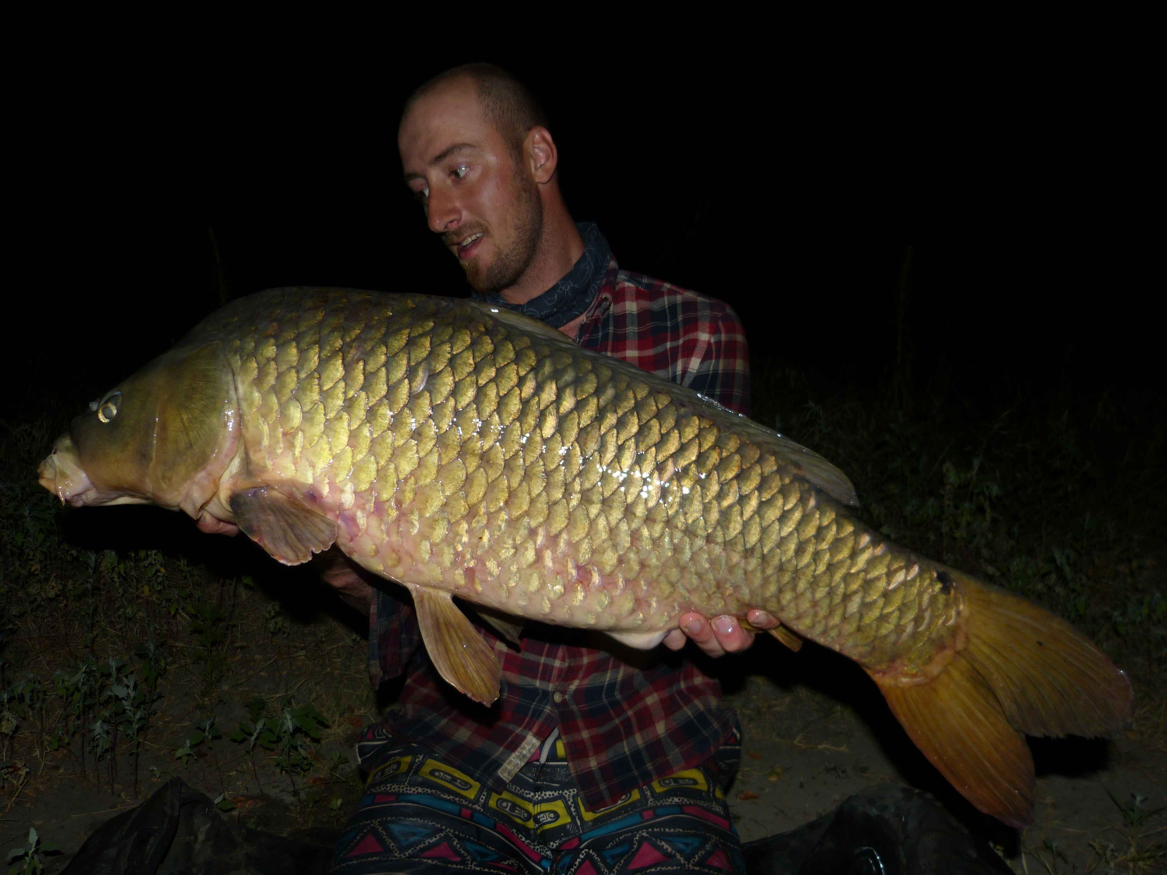 karpfenangeln_frankreich_123 Angler hält stolz einen großen Karpfen in der Hand, der nachts gefangen wurde, und stellt damit seine erfolgreichen Angelfähigkeiten zur Schau.