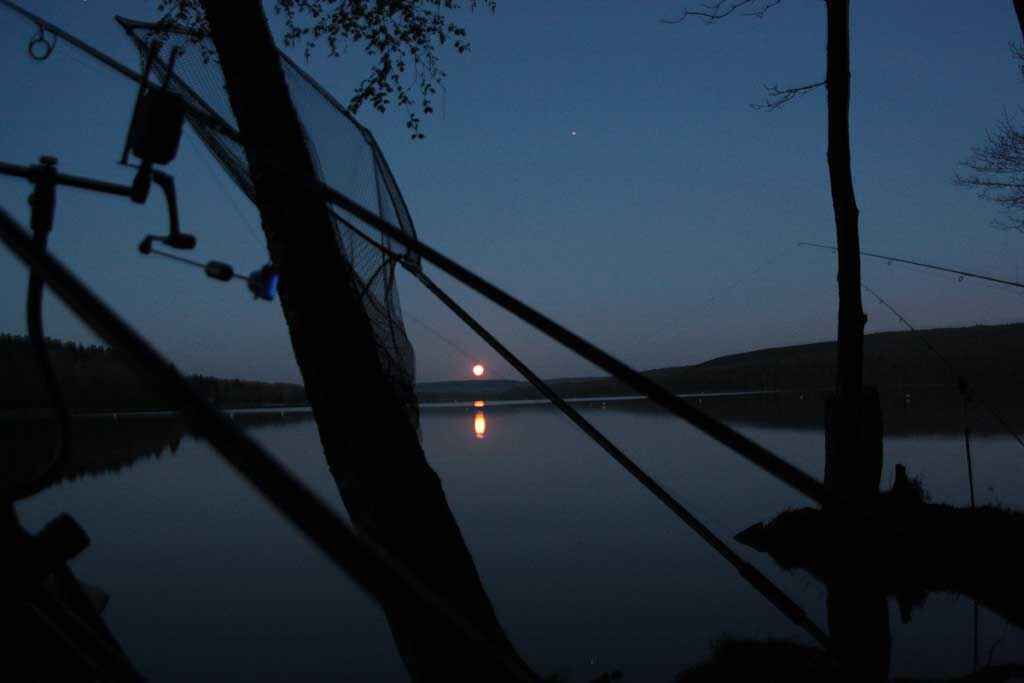 Kaufberater: Schlafsäcke für Karpfenangler – gemütlich und warm Friedliche Nachtangelszene mit Ruten und Mondlicht, das sich im Wasser spiegelt.