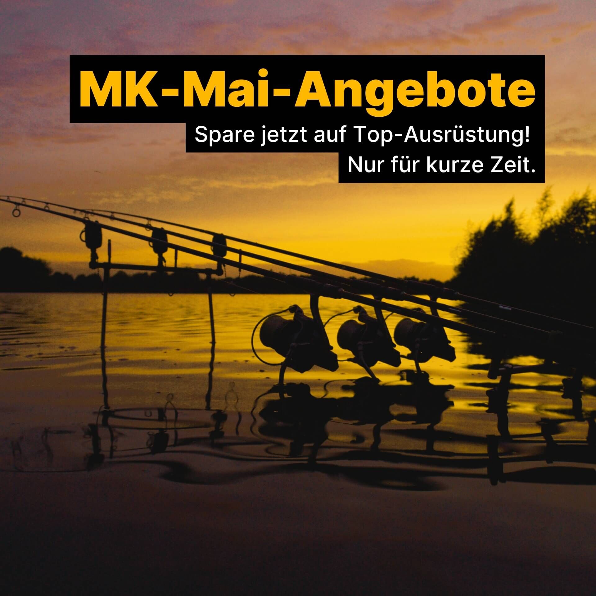 Bei Sonnenuntergang aufgestellte Angelruten, perfekt für Karpfenangler, die auf der Suche nach Top-Ausrüstungsangeboten sind.