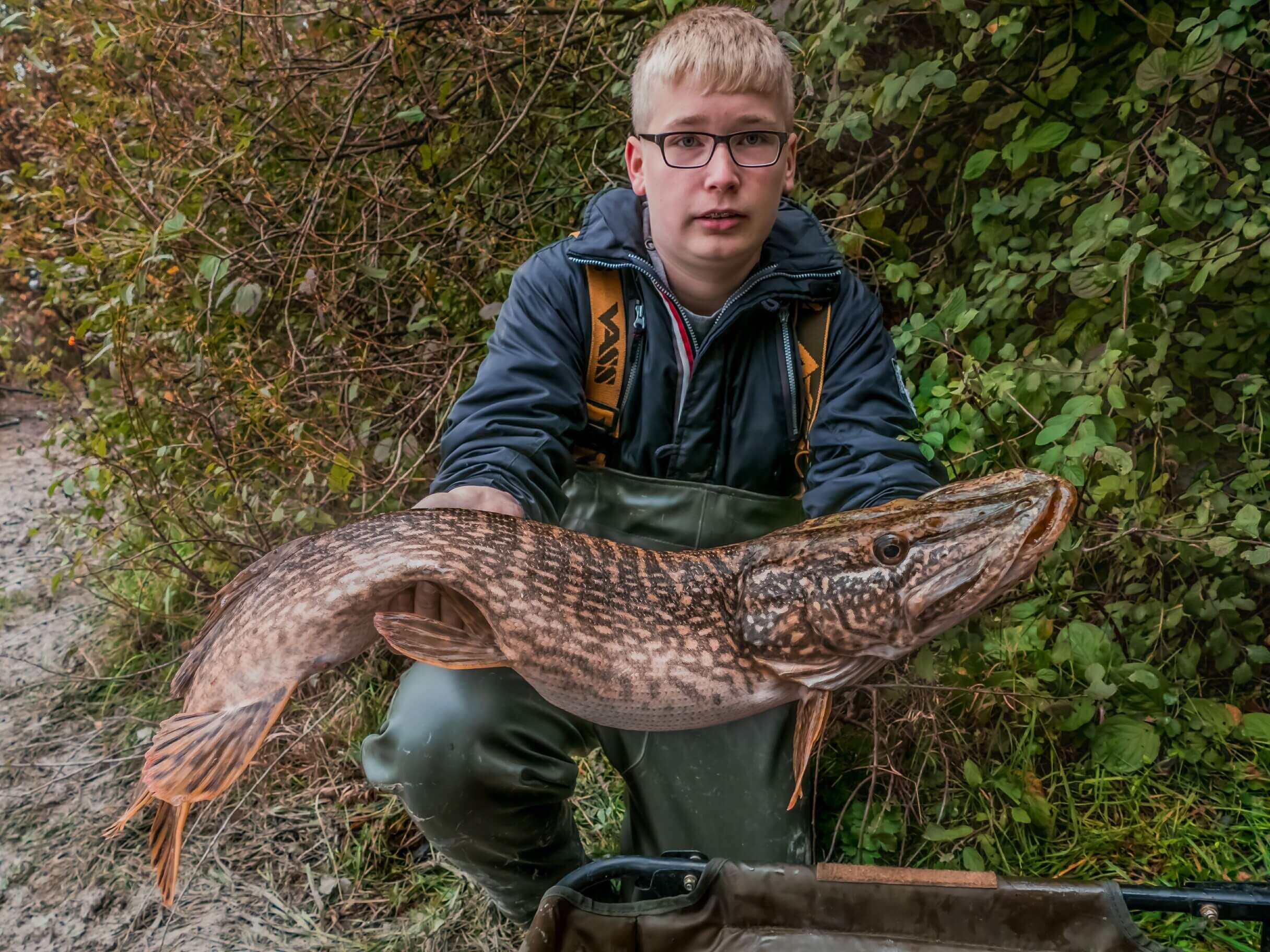 shelter-hecht Junger Angler hält stolz einen großen Hecht, der während eines Angelausflugs gefangen wurde.