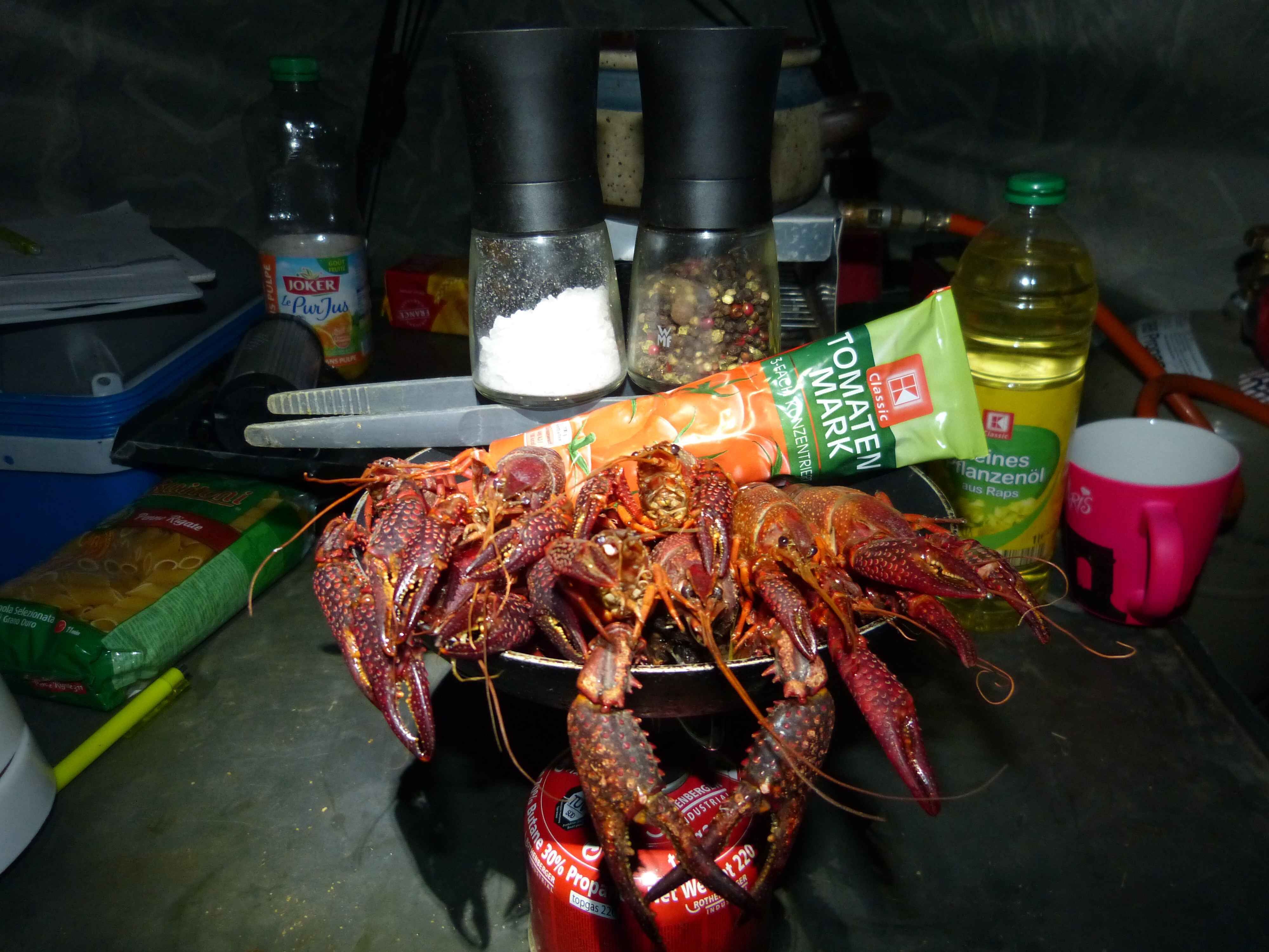 karpfenangeln_frankreich_190