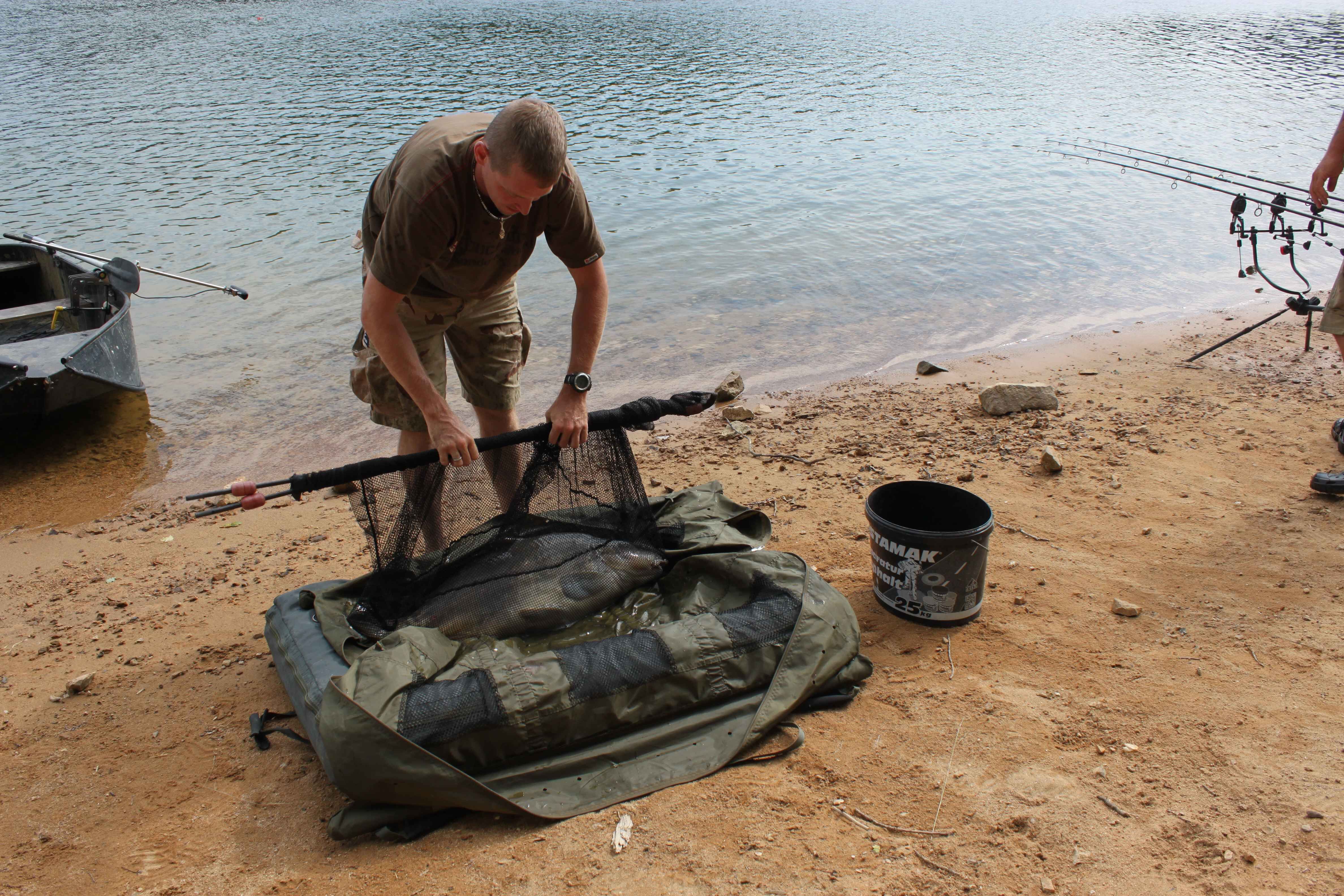022_2 Angler geht vorsichtig mit einem großen Karpfen in einem Kescher am Wasser um.