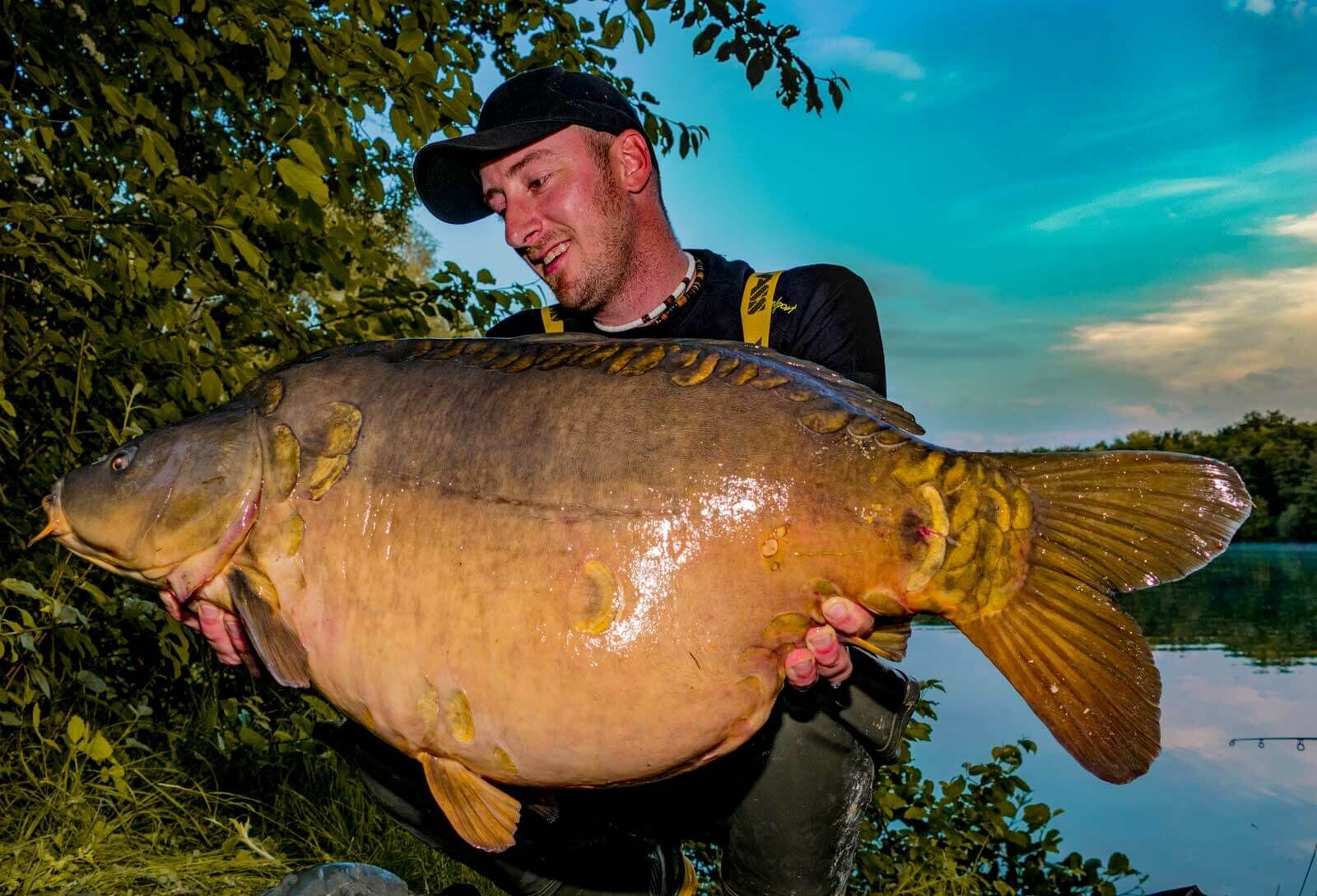 spiegelkarpfen-stefan-kischel Angler hält stolz einen großen Karpfen in der Hand, der mit hochwertigem Angelgerät gefangen wurde.