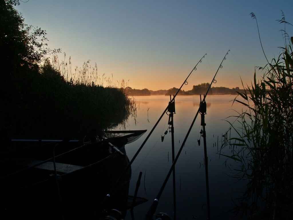 Bivvy Session: See der Verzweiflung Zwei Angelruten werden im Morgengrauen am ruhigen See aufgestellt, ideal zum Karpfenangeln.