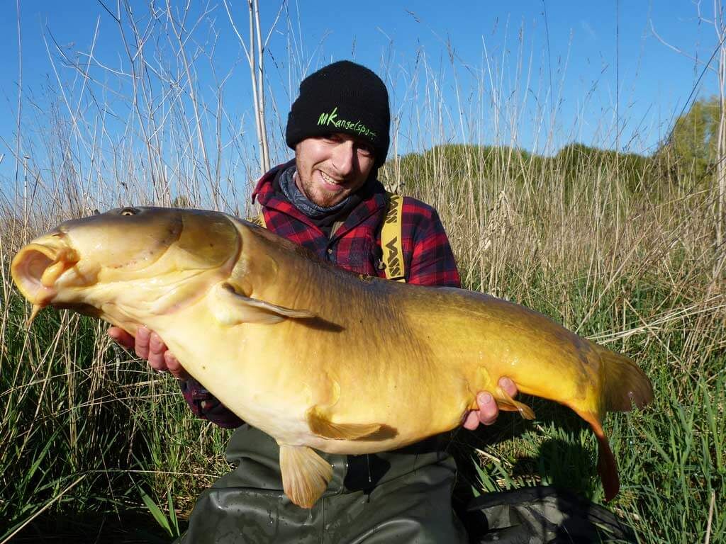 grosser-karpfen Angler hält stolz einen großen Karpfen und präsentiert erfolgreiche Angeltechniken und Angelgeräte.