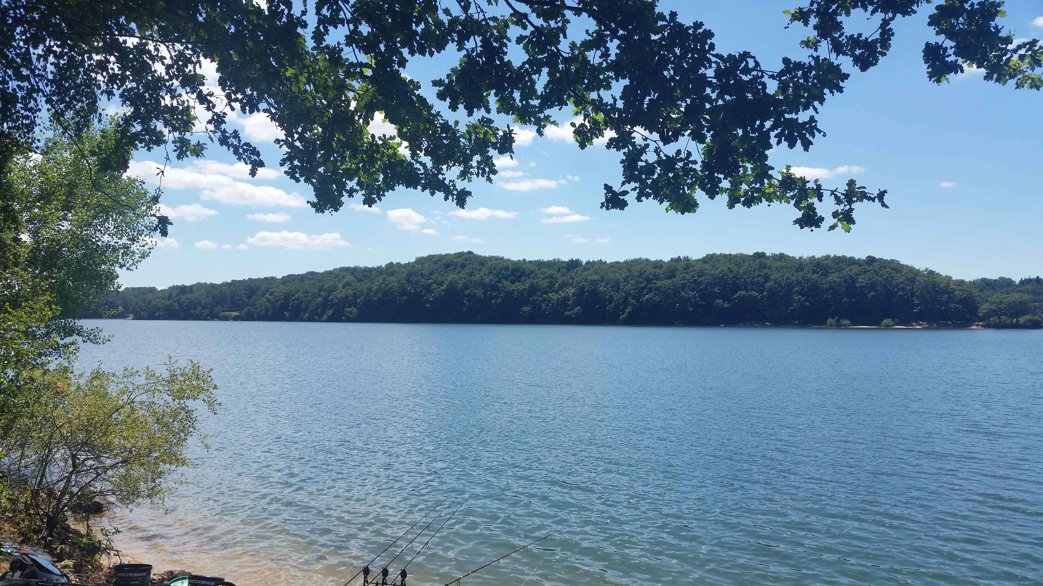 027c lake, water, trees, shore, recreation