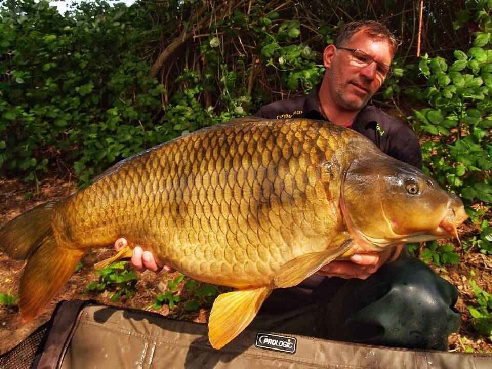 karpfenamgeln_mit_bivvy4 Der Angler hält stolz einen großen Karpfen in der Hand und demonstriert sein erfolgreiches Angeln mit hochwertigem Gerät.