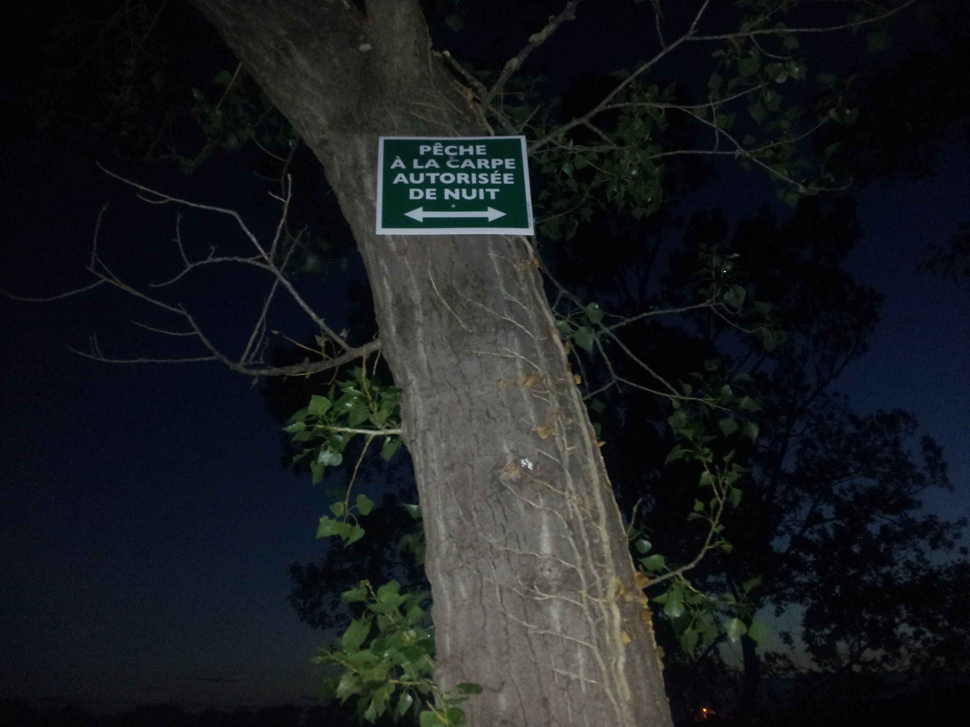 020 Nachtangelschild, das darauf hinweist, dass Karpfenangeln erlaubt ist, perfekt für engagierte Angler.