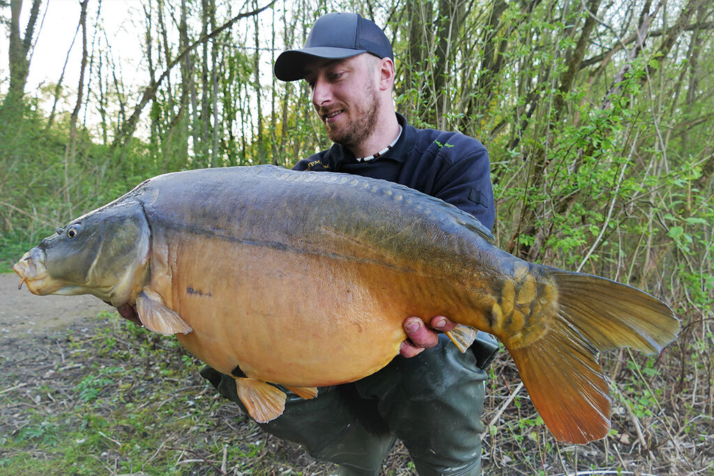 grosser-spiegelkarpfen Angler hält stolz einen großen Karpfen in der Hand, der mit hochwertigen Angelgeräten und -ausrüstung gefangen wurde.