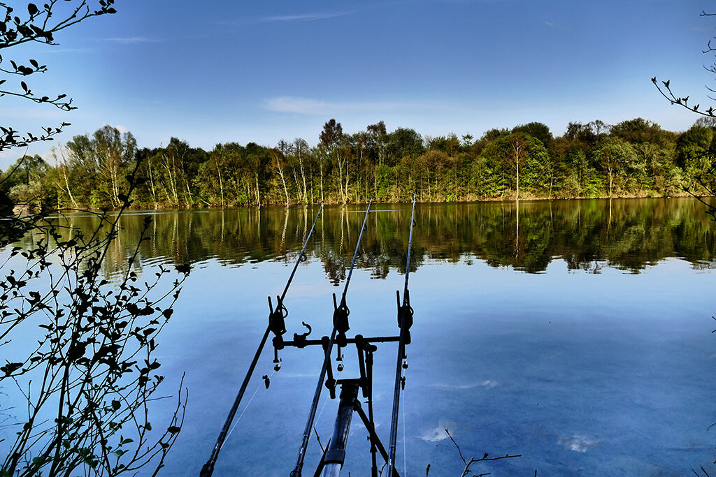 karpfenangeln-mit-3ruten Ruhiger Seeblick mit aufgestellten Angelruten für einen perfekten Tag beim Karpfenangeln.