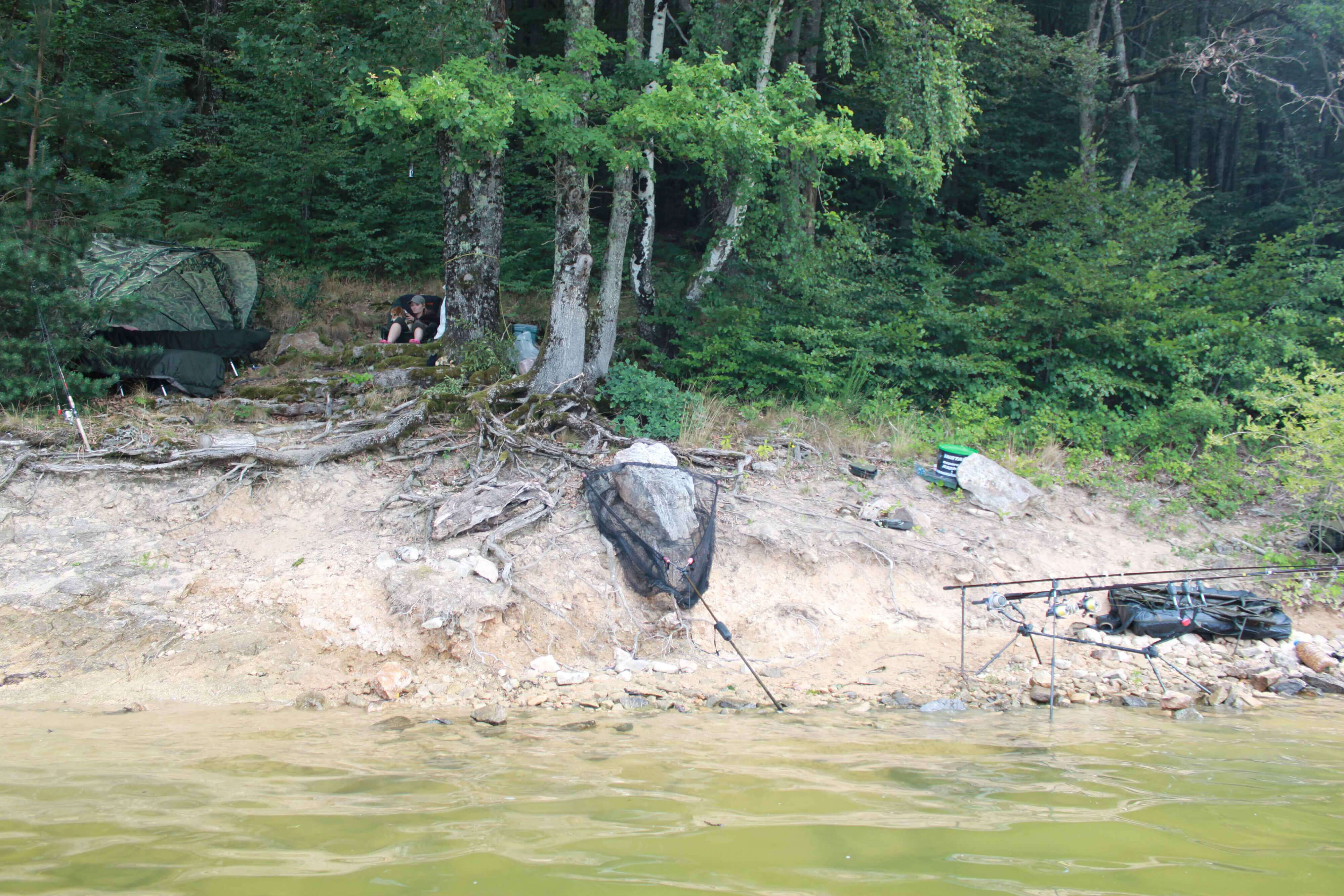025d camping, shore, tent, trees, camping gear