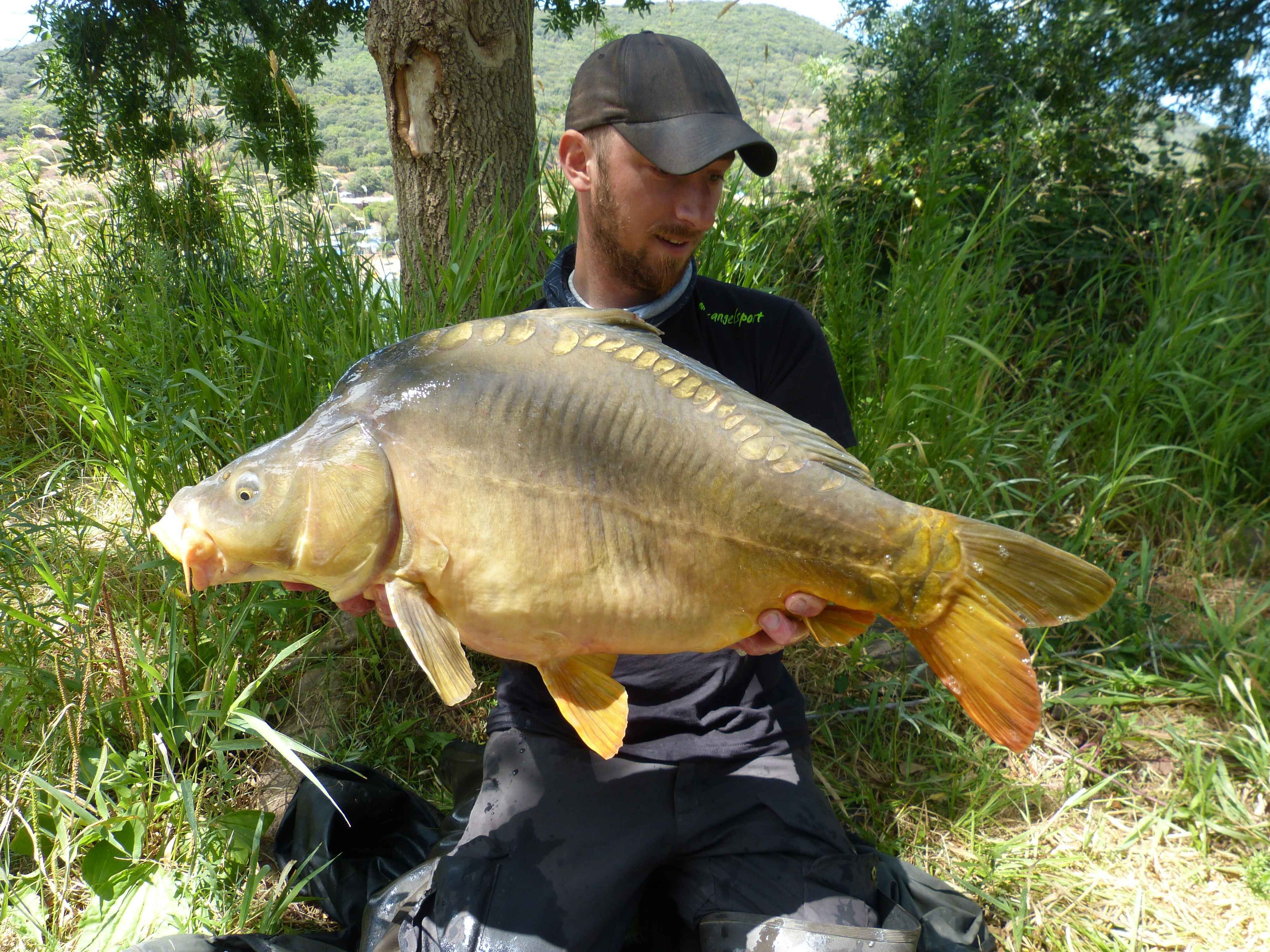 karpfenangeln_frankreich_309