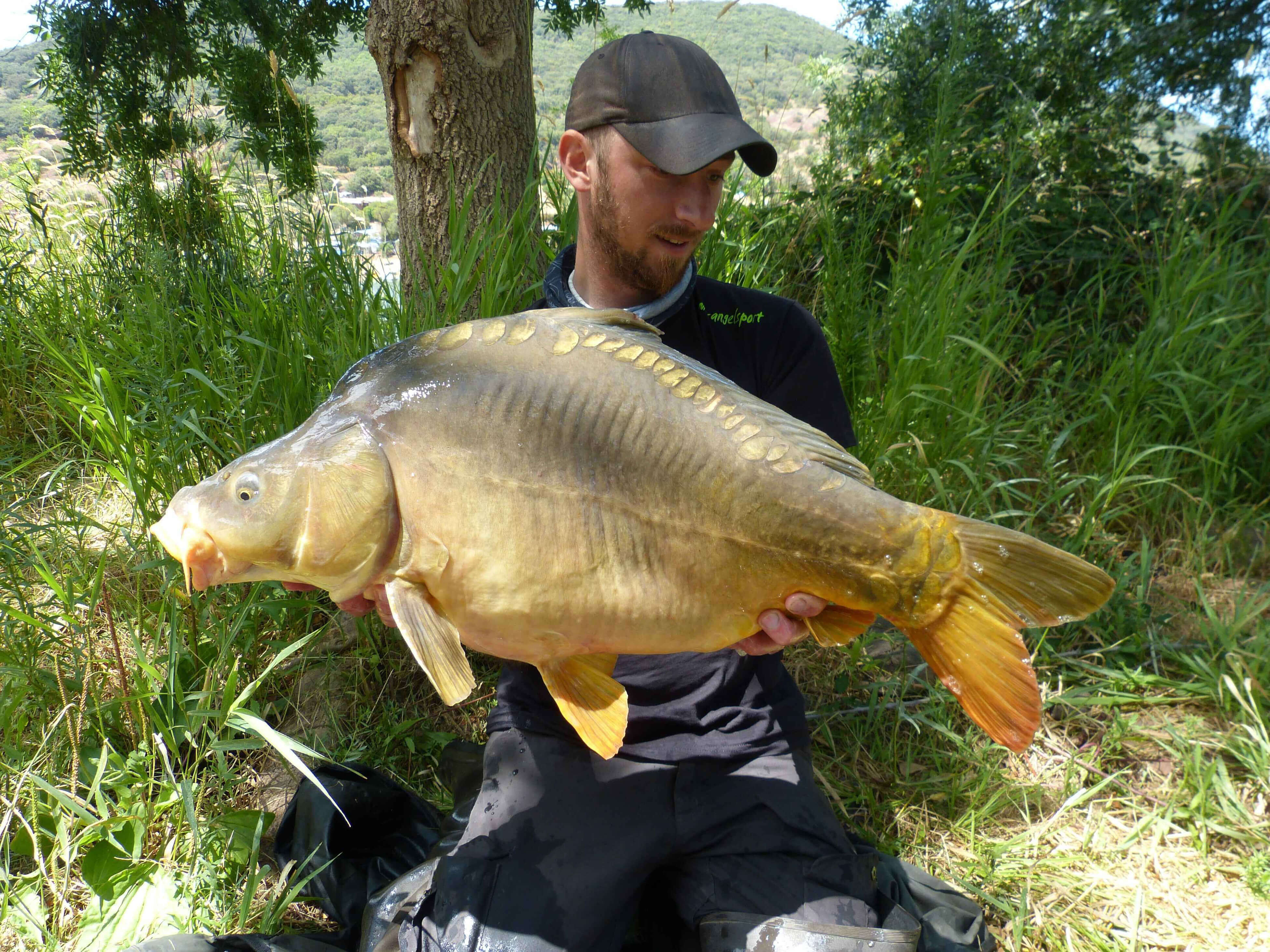 karpfenangeln_frankreich_309 Ein stolzer Angler hält einen großen Karpfen und demonstriert erfolgreiche Techniken des Karpfenangelns.