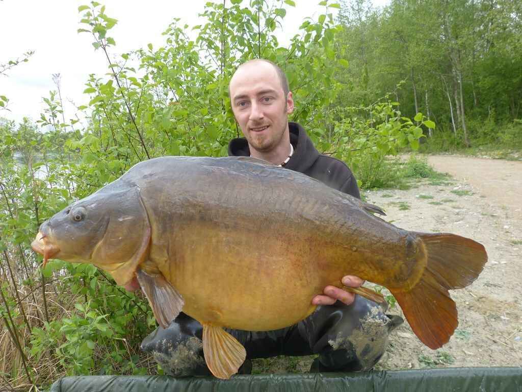 karpfen_kischel2 Angler hält stolz einen großen Karpfen in der Hand, der mit hochwertigen Angelgeräten und -ausrüstung gefangen wurde.