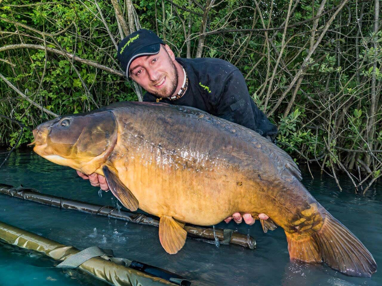 grosser-spiegelkarpfenwyHGKmMwYr3Ri Der Angler hält stolz einen großen Karpfen in der Hand, der mit hochwertigem Gerät und Köder gefangen wurde.