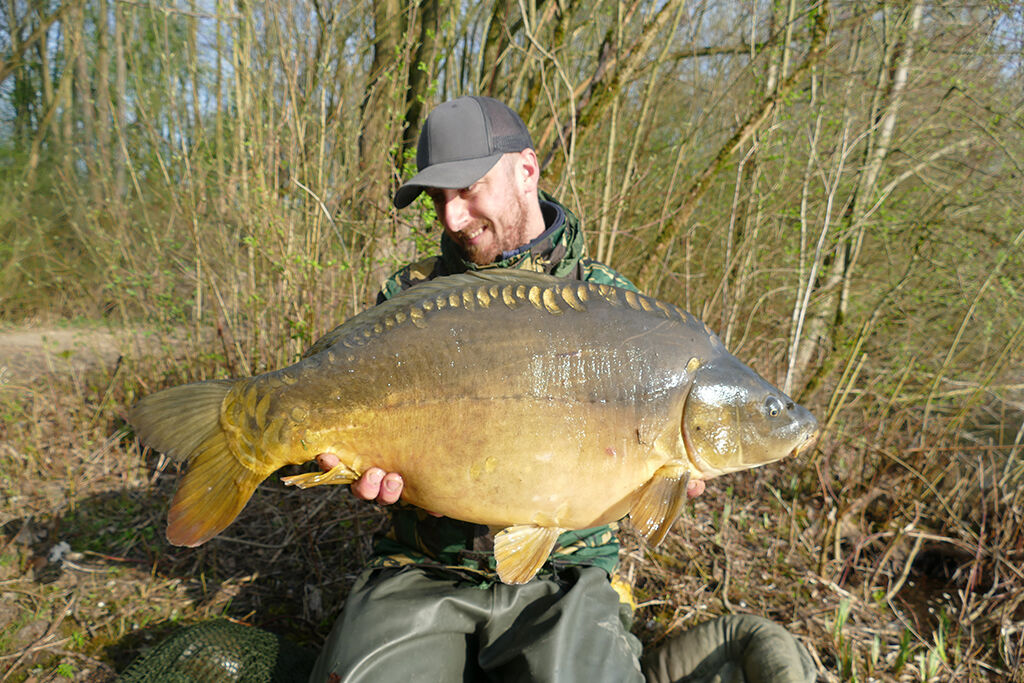 spiegelkarpfen Glücklicher Angler hält stolz einen großen Karpfen in der Hand, der in einer ruhigen natürlichen Umgebung gefangen wurde.