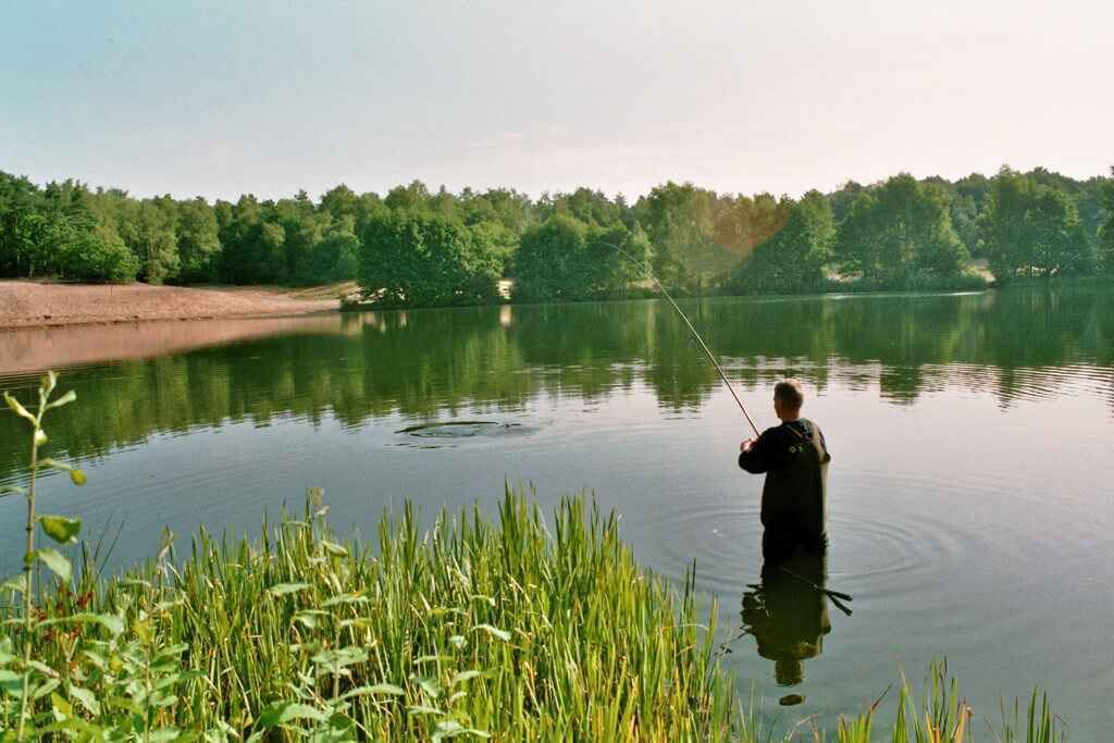 Image025_30 Angler angeln in einem ruhigen See, umgeben von üppigem Grün, ideal zum Karpfenangeln.