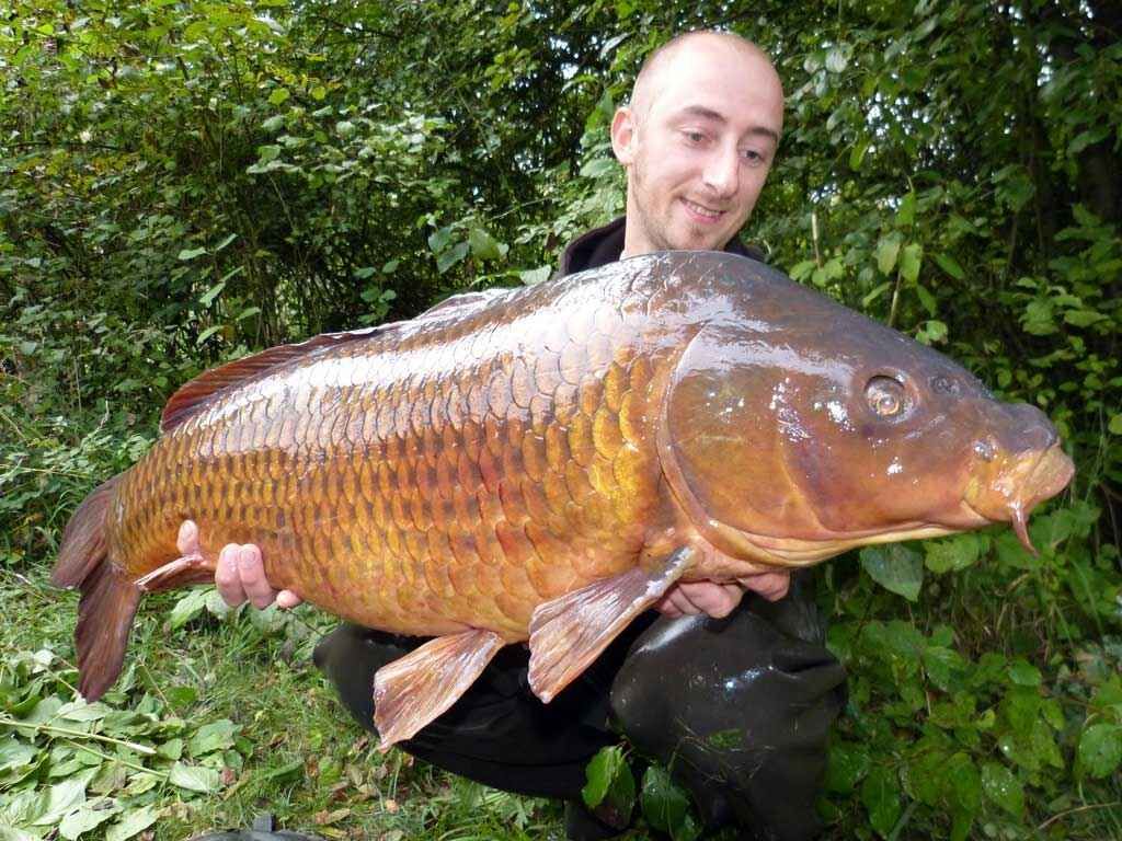 Stefan Kischel neu im MK-Angelsport Team Angler hält stolz einen großen Karpfen in der Hand, der mit hochwertigem Angelgerät gefangen wurde.