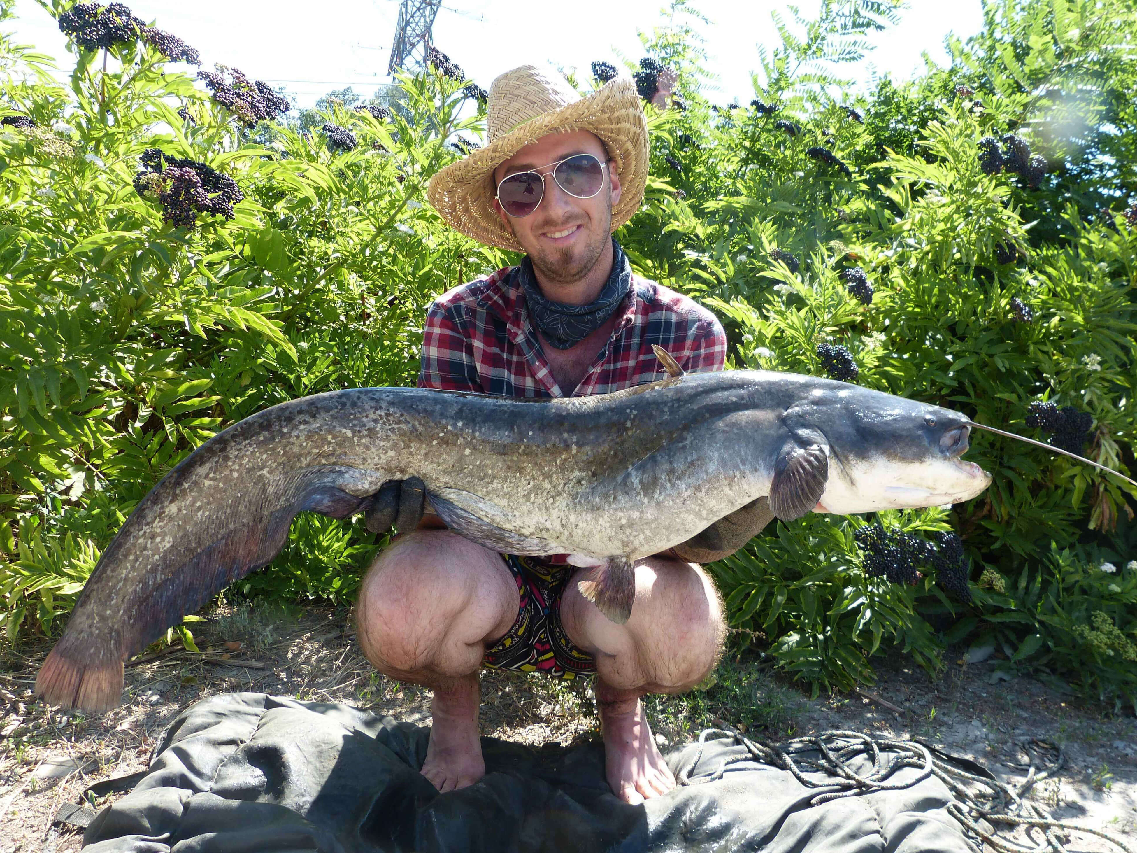 karpfenangeln_frankreich_102 Angler hält stolz einen großen Wels und demonstriert erfolgreiche Angeltechniken.