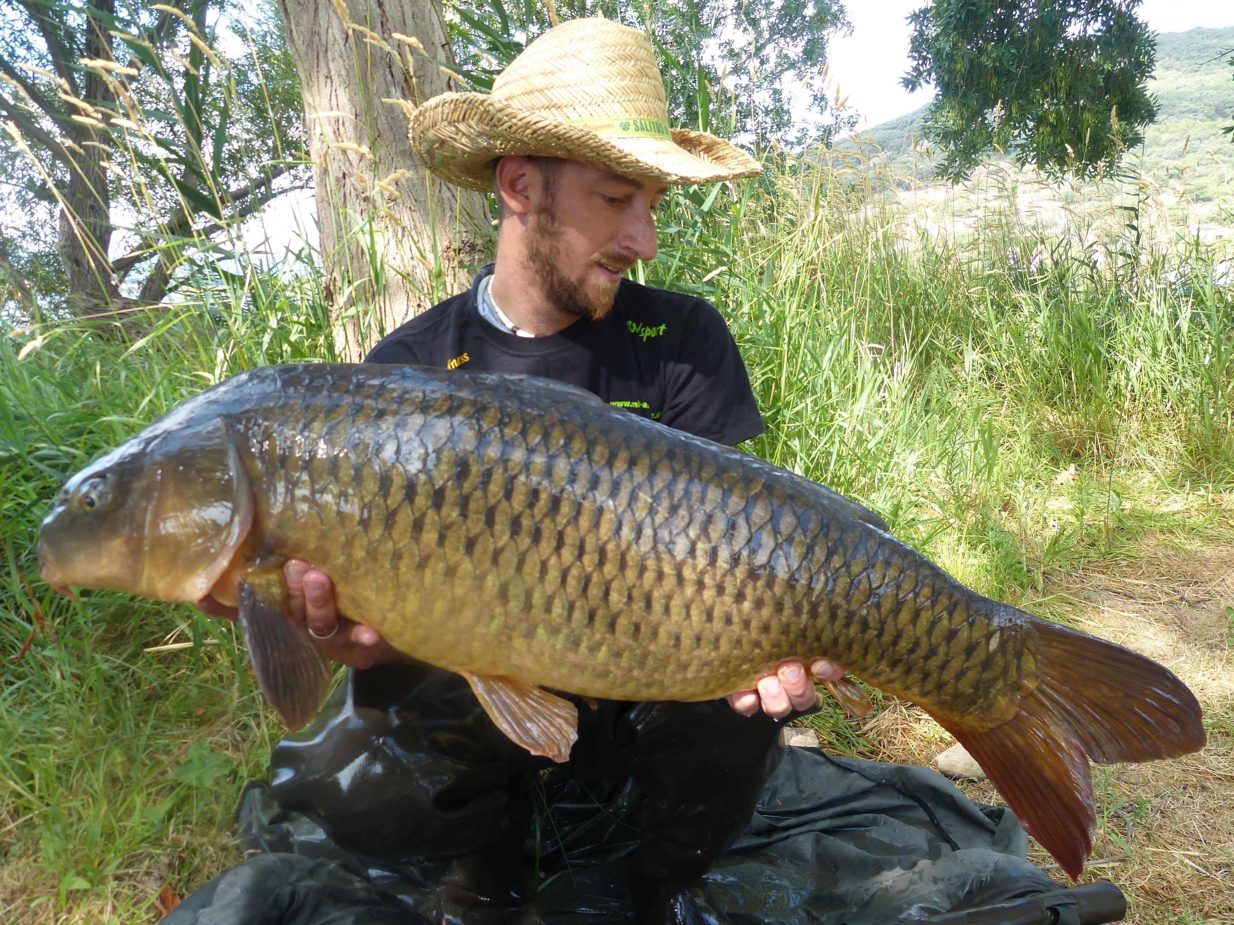 karpfenangeln_frankreich_278