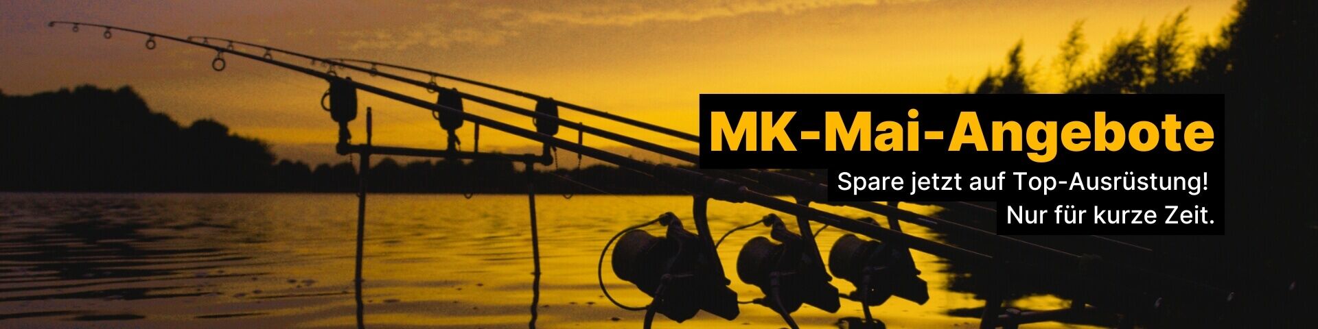 Bei Sonnenuntergang aufgestellte Angelruten, perfekt für Karpfenangelbegeisterte, die auf der Suche nach Ausrüstung sind.