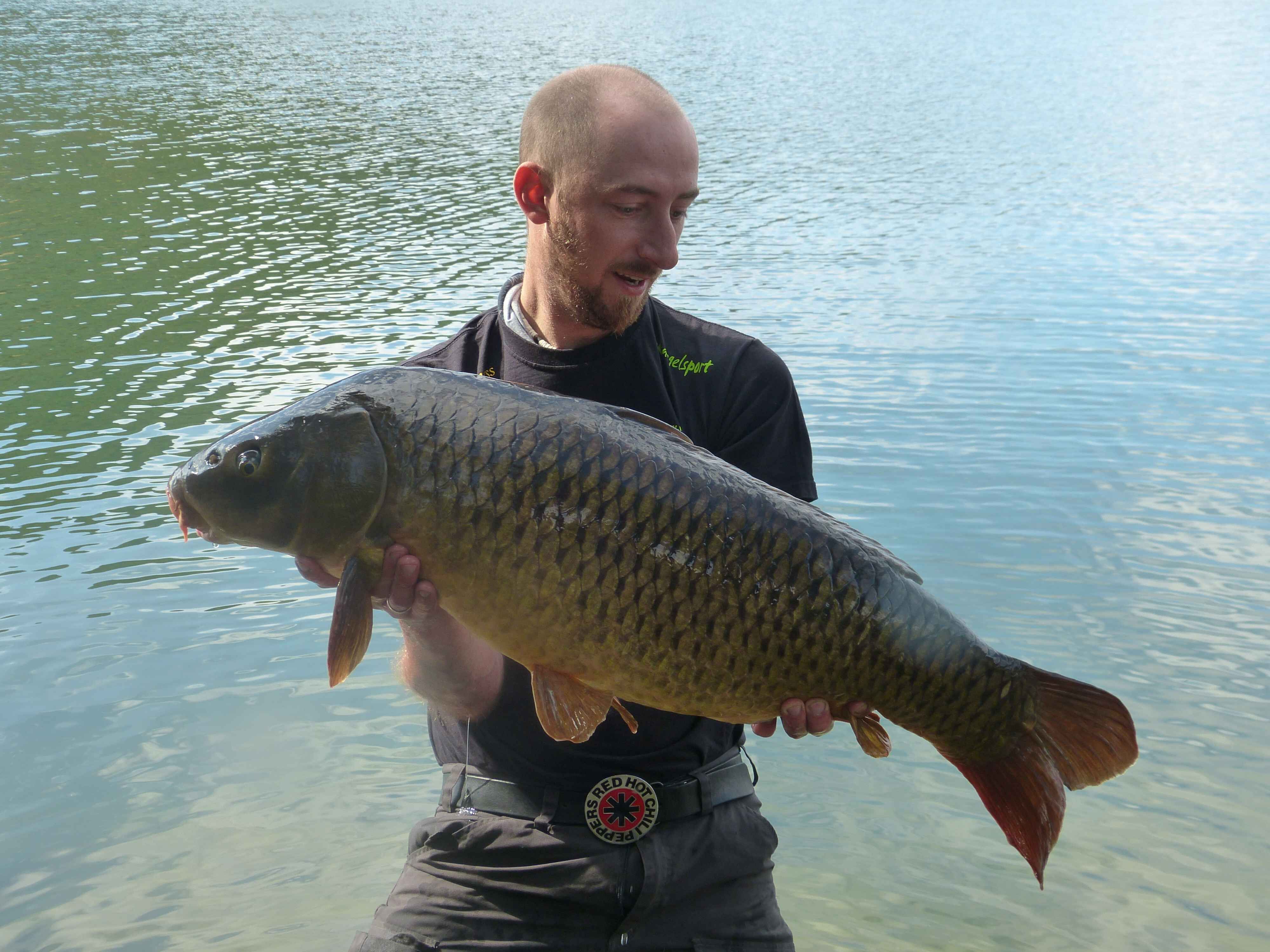 karpfenangeln_frankreich_285 Angler hält stolz einen großen Karpfen in der Hand, der mit erstklassigem Angelgerät am Wasser gefangen wurde.